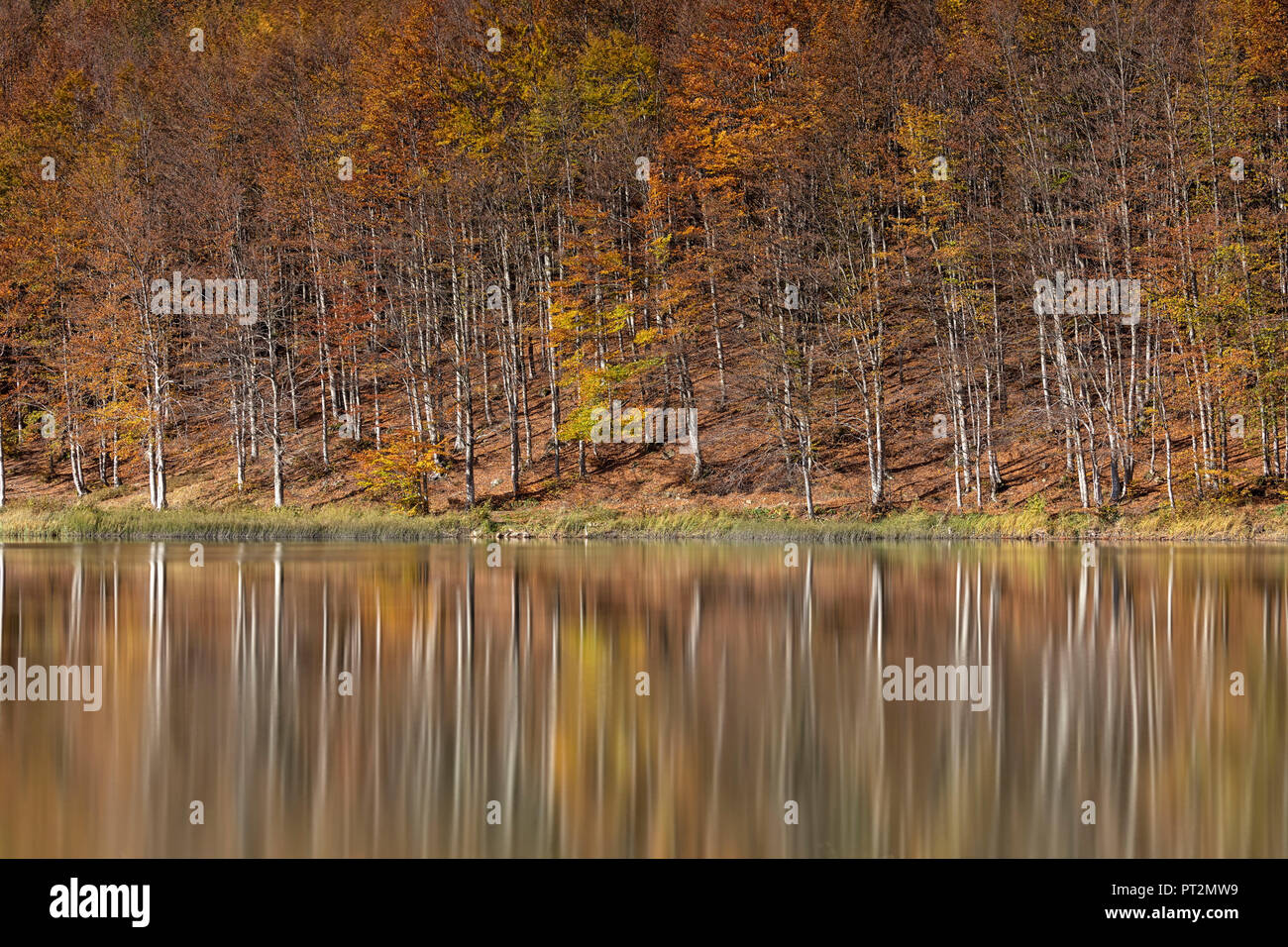 Arbres se reflétant dans le lac Pranda, province de Reggio Emilia, l'Émilie-Romagne, Italie, Europe district Banque D'Images