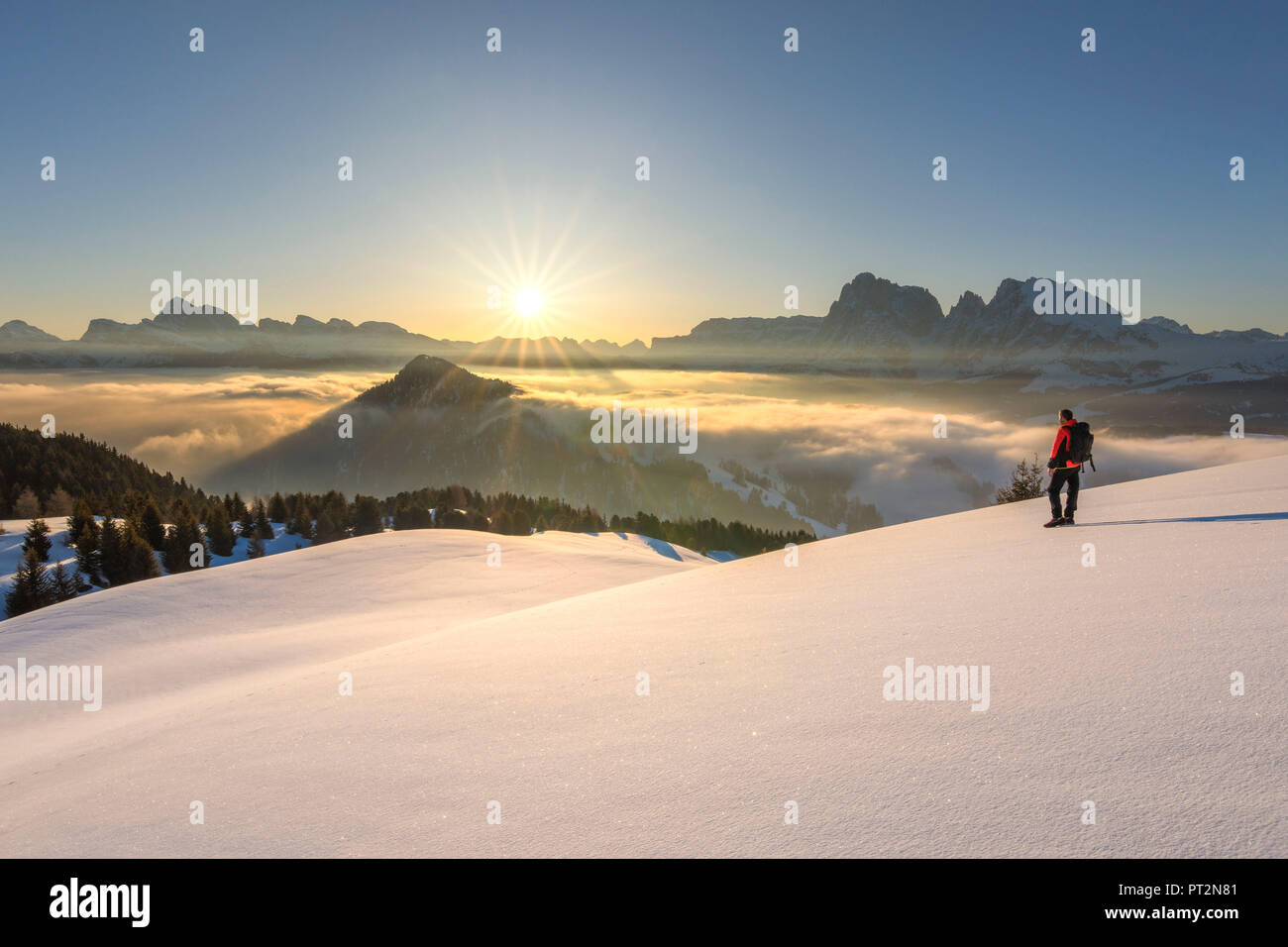Alpe di Siusi / Seiser Alm, Dolomites, Tyrol du Sud, Italie, le lever du soleil sur le plateau de Bullaccia / Puflatsch, dans l'arrière-plan les sommets de l'Odle, Sella et Sassolungo Banque D'Images