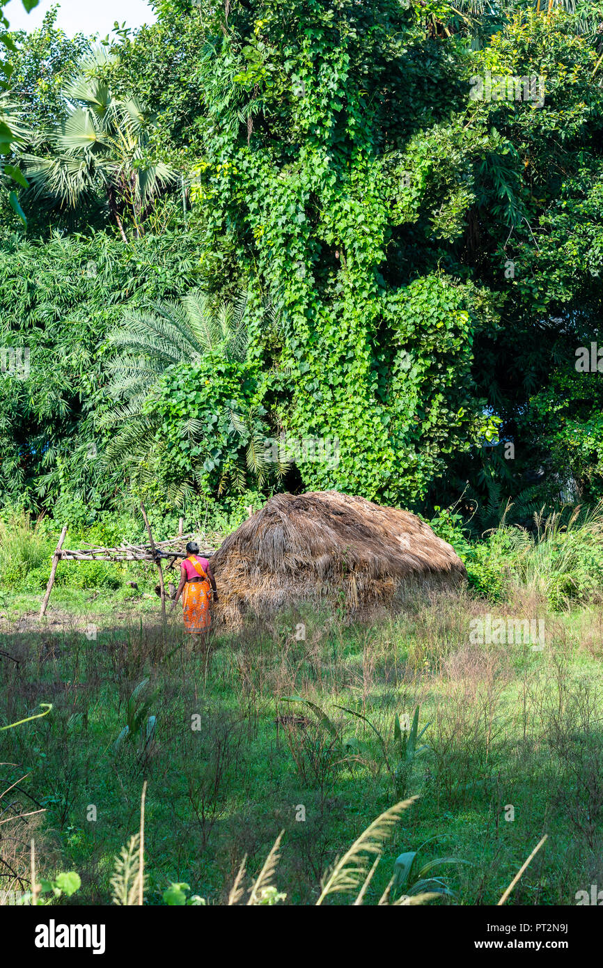 Un village indien femme marche à sa cabane en bambou dans la jungle. Banque D'Images