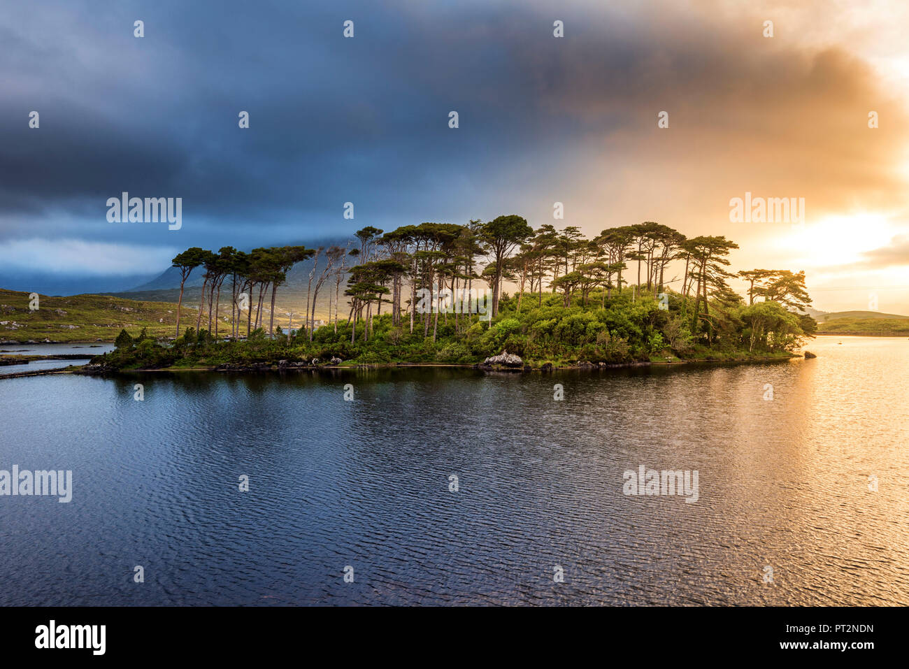 Connemara, comté de Galway, Connacht province, Irlande, Europe, Lough Inagh lake avec l'île des Pins, Banque D'Images