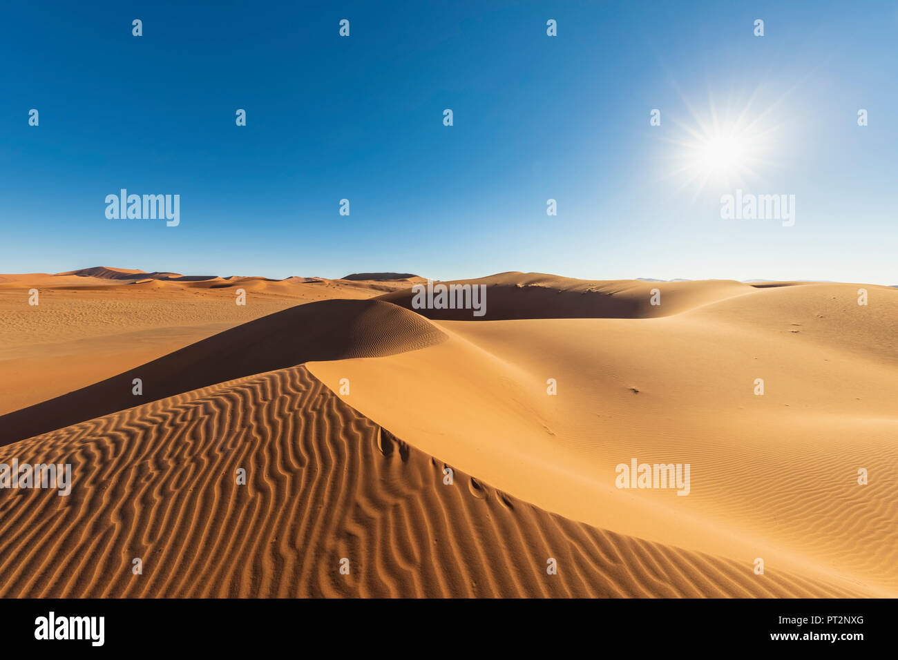 L'Afrique, la Namibie, désert du Namib Naukluft, Parc National, dunes de sable contre le soleil Banque D'Images