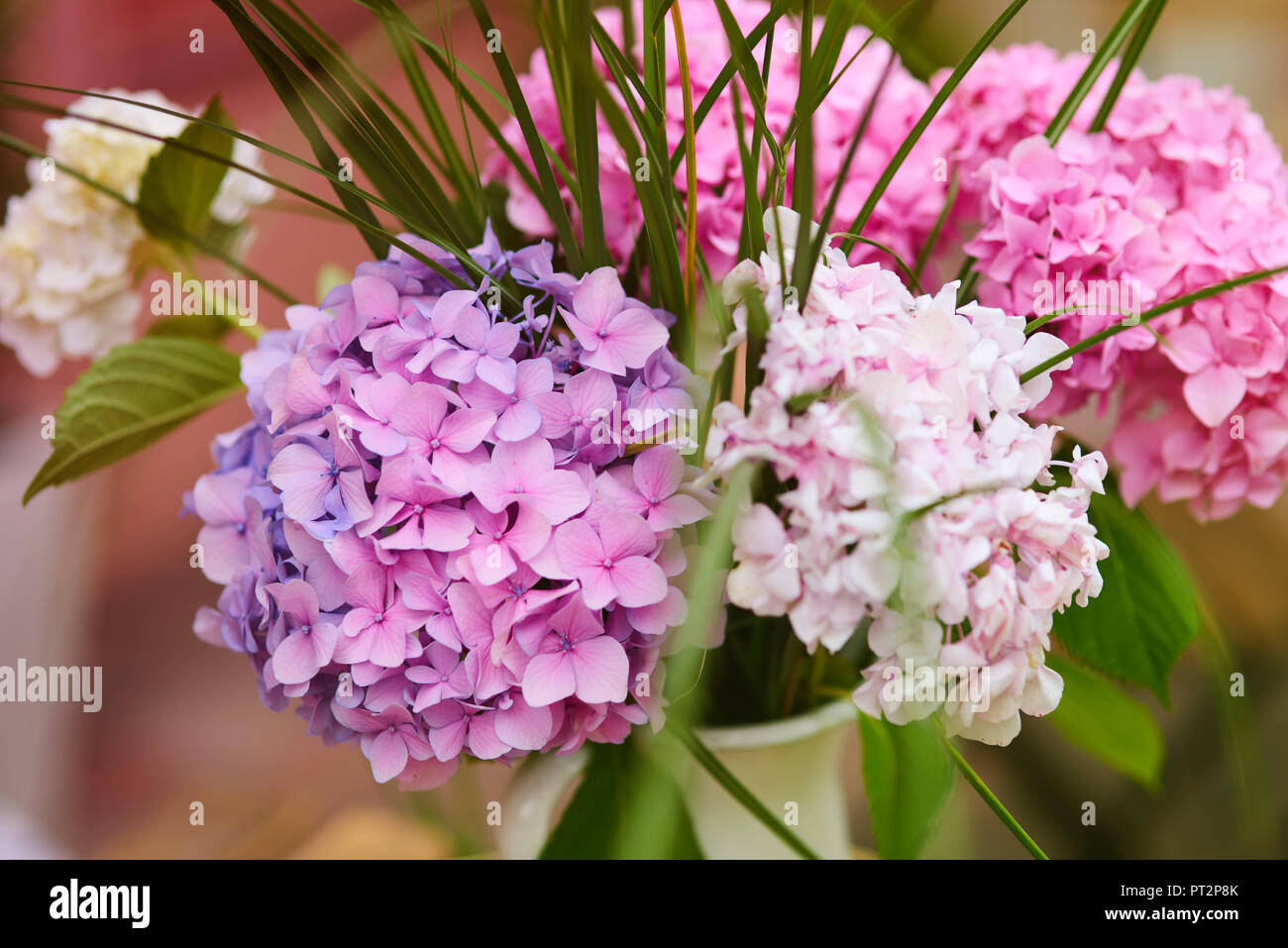 Un bouquet de fleurs fraîches Banque D'Images