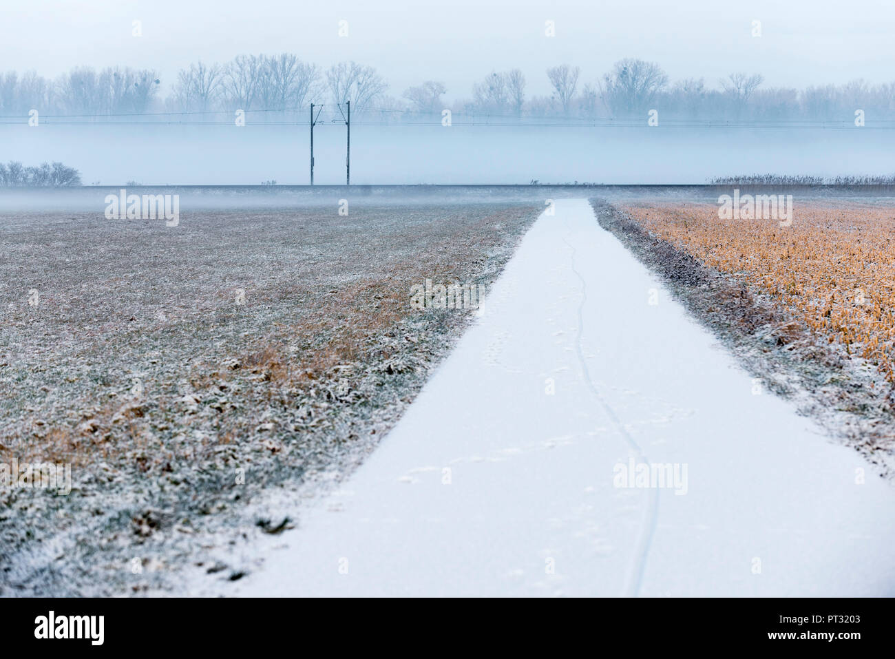 Paysage d'hiver, plat pays avec la voie entre les champs Banque D'Images