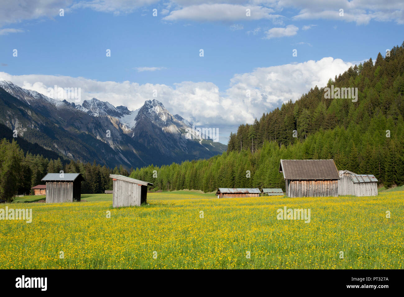 Le printemps à l'Stanzer Tal (vallée de Stanz) près de Sankt Anton, Tyrol, Autriche Banque D'Images
