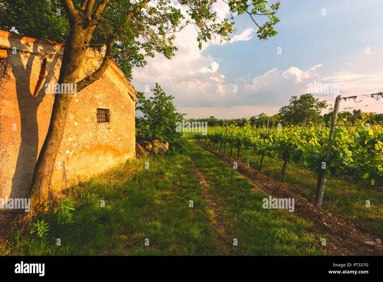 La Franciacorta, district de Lombardie, Province de Brescia, Italie, Banque D'Images