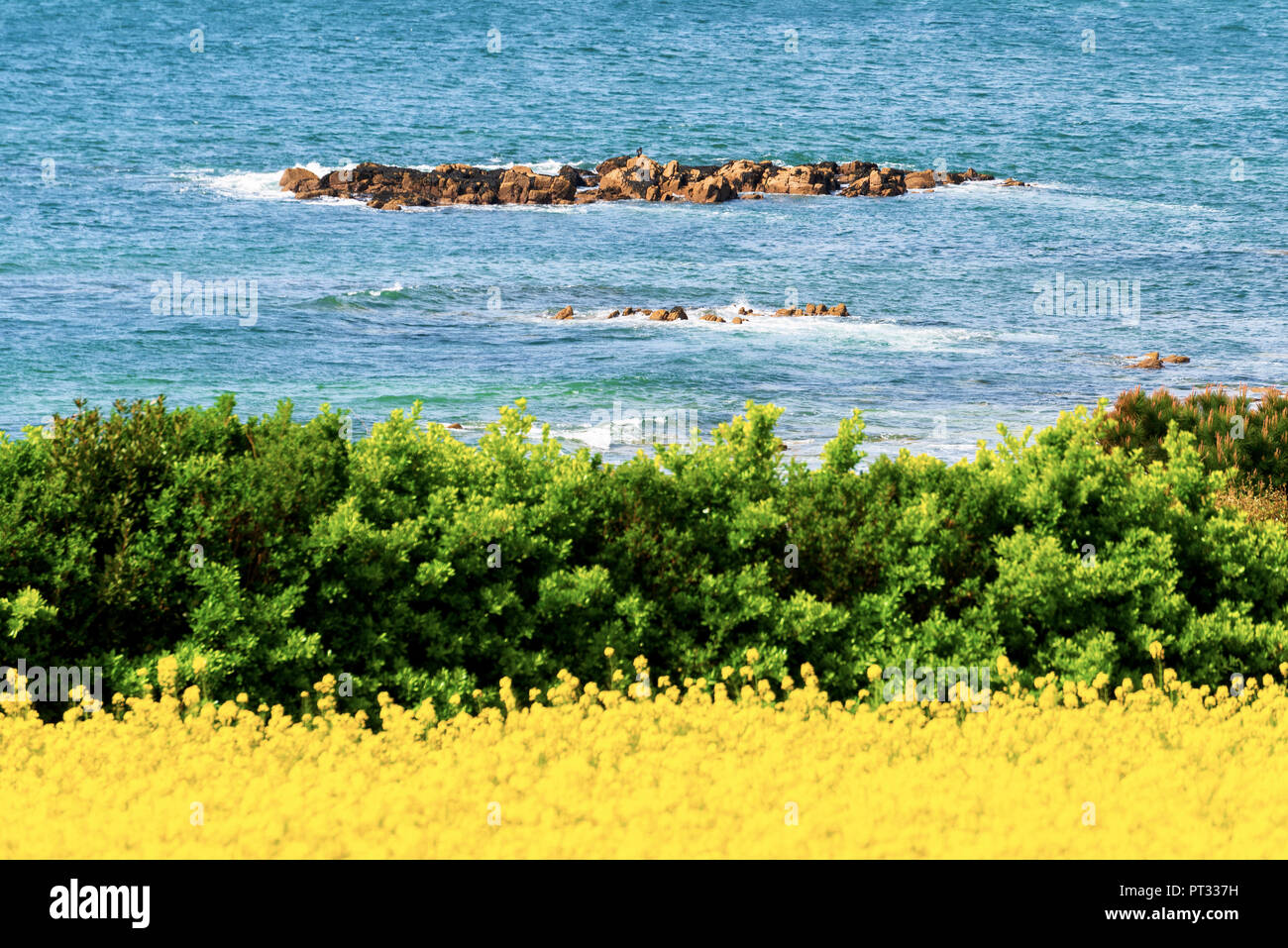 Bretagne détail, Bretagne, France, Banque D'Images