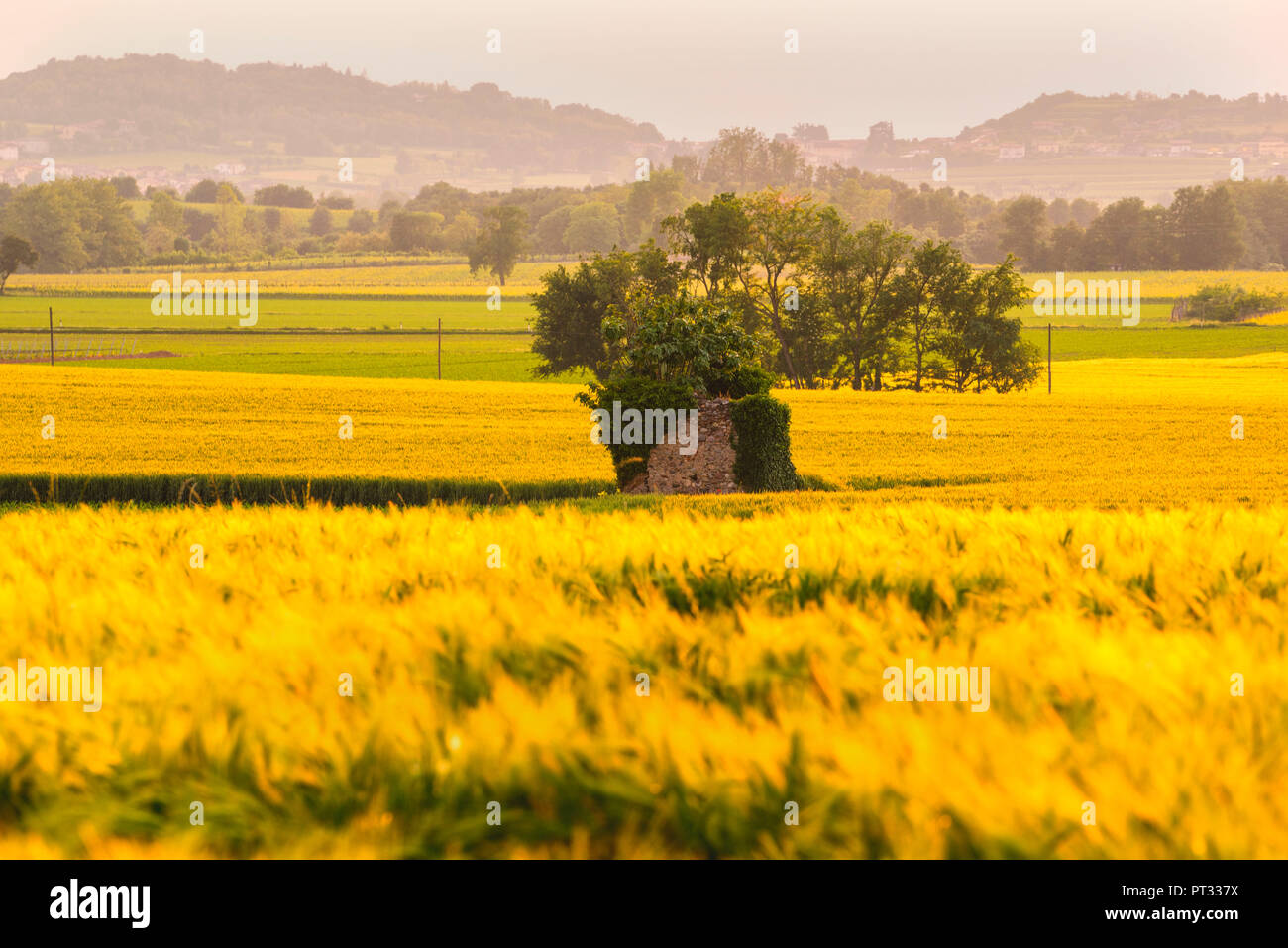 La Franciacorta, district de Lombardie, Province de Brescia, Italie, Banque D'Images