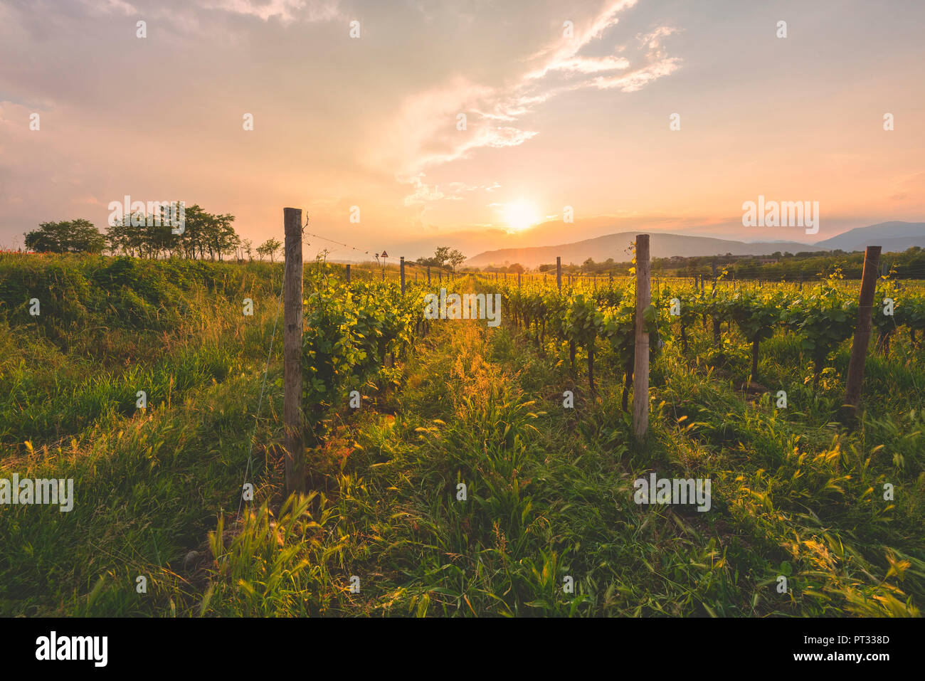 La Franciacorta, district de Lombardie, Province de Brescia, Italie, Banque D'Images