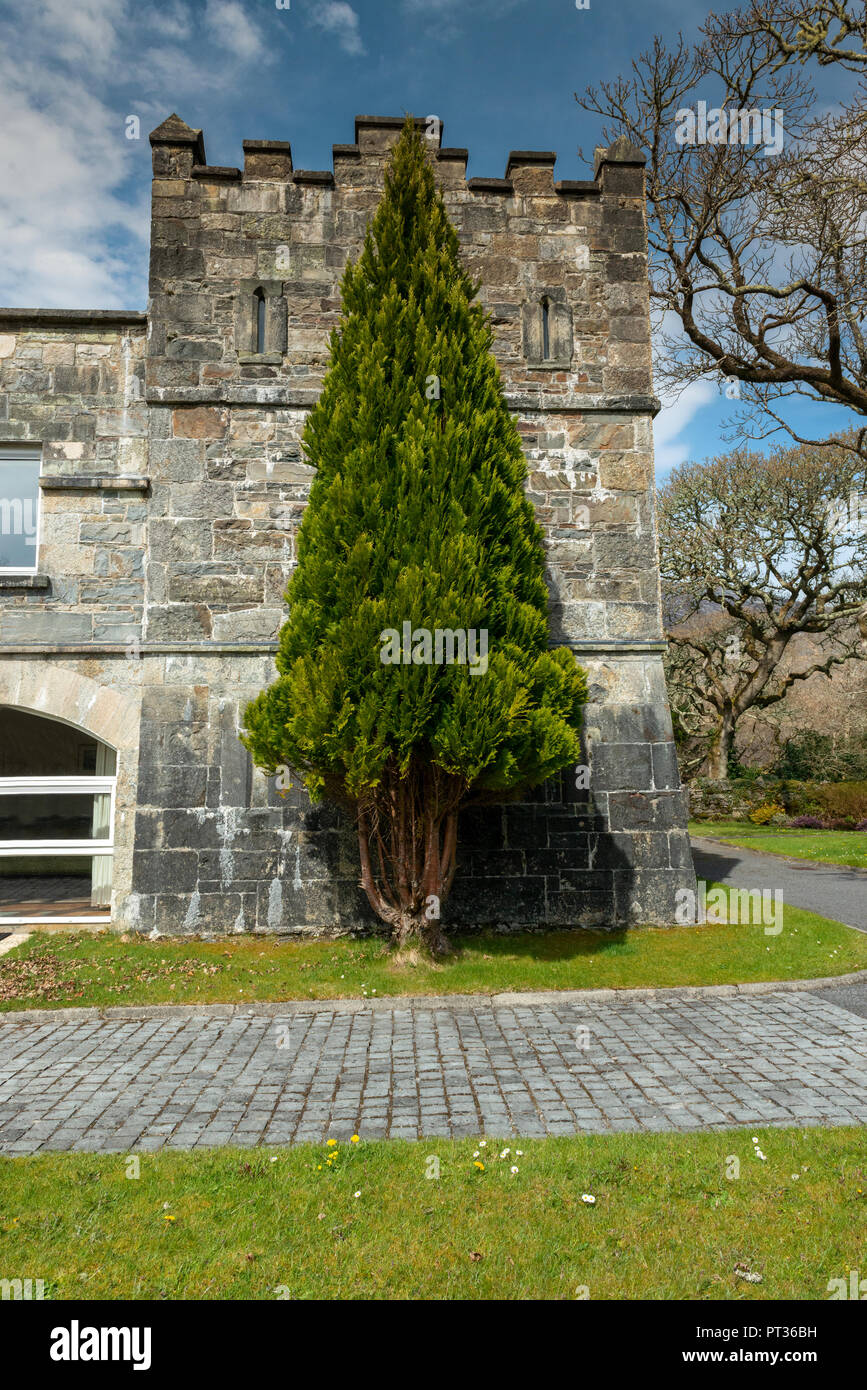 Un château fort (du latin castellum :) est un type d'ouvrage fortifié construit au Moyen Âge par la noblesse surtout ou image. Banque D'Images