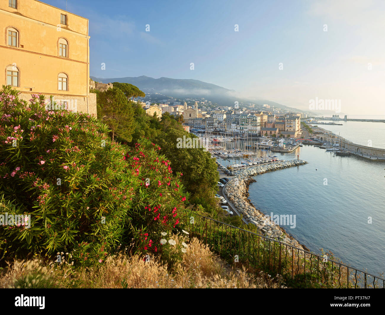 Vue sur le port de Bastia, Haute Corse, Corse, France Banque D'Images