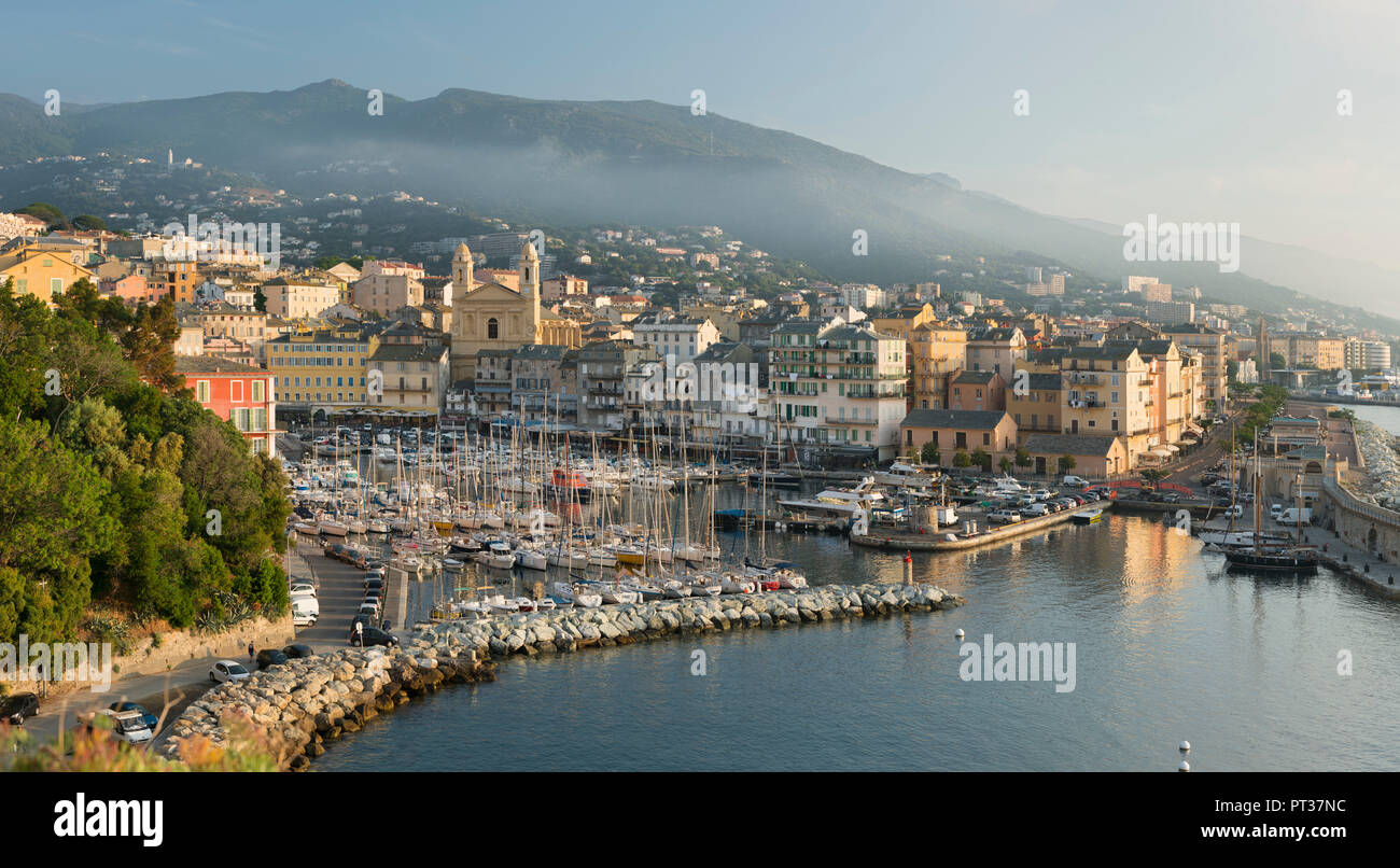 Vue sur le port de Bastia, Haute Corse, Corse, France Banque D'Images