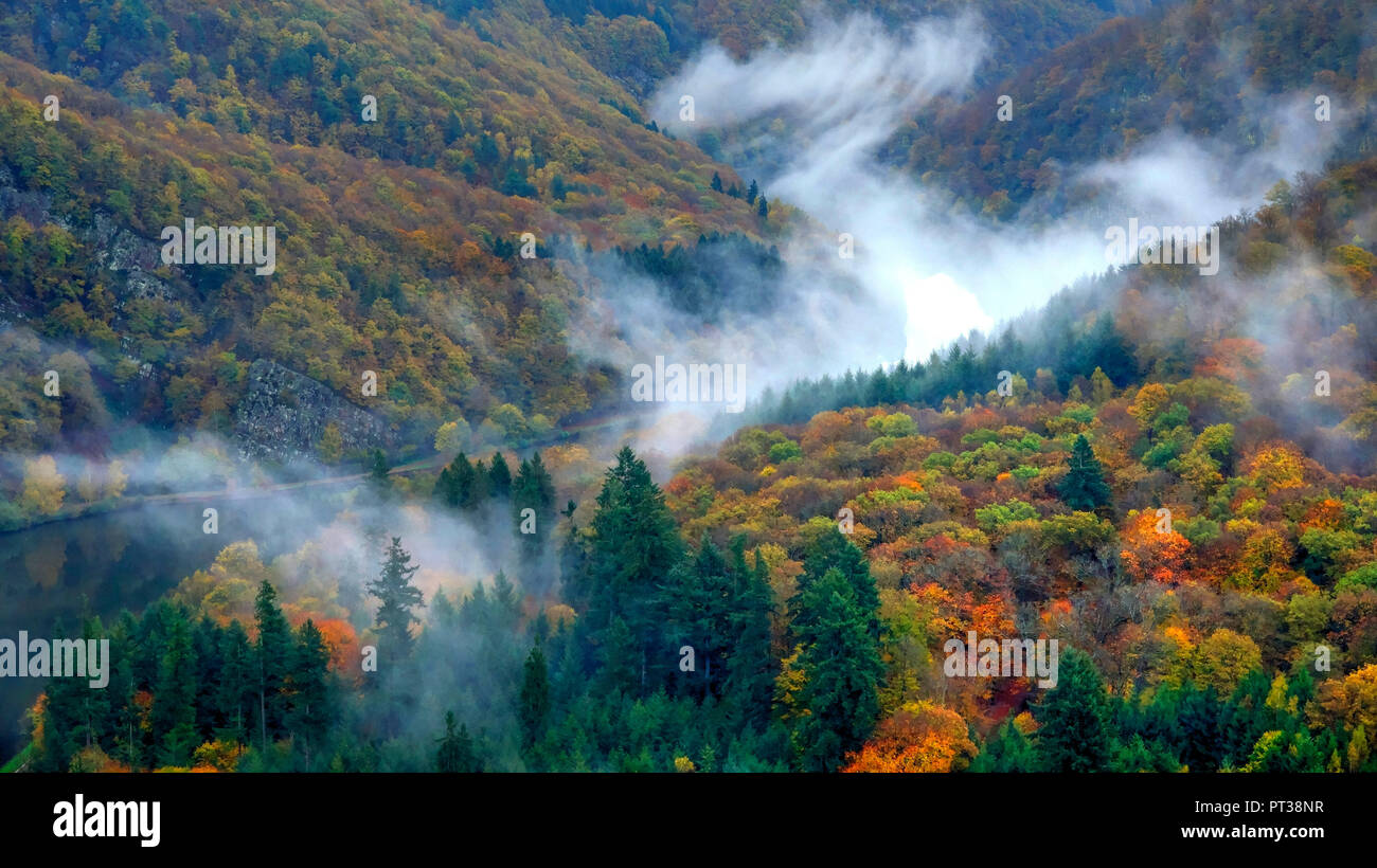 Matin brouillard à la grande boucle de la Sarre, Mettlach-Orscholz, Saarland, Allemagne Banque D'Images