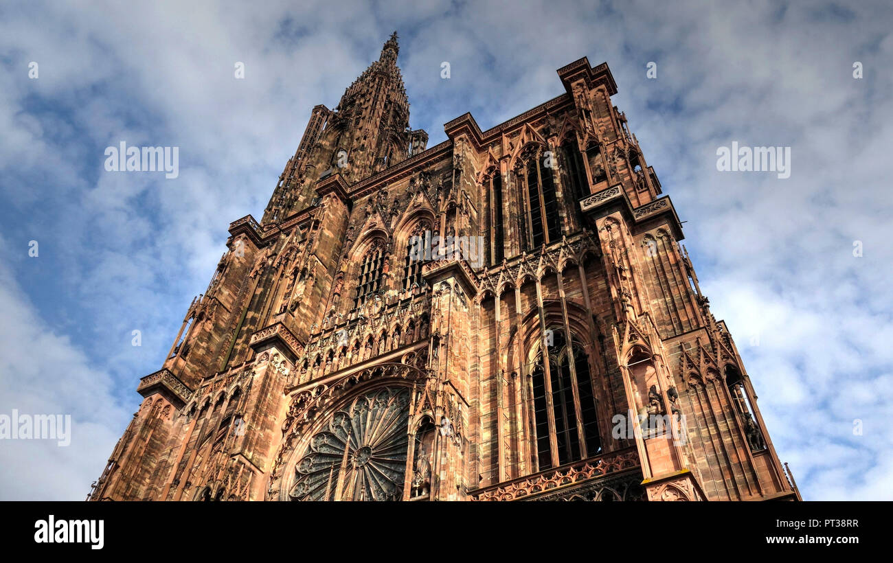 Cathédrale Notre Dame de Strasbourg, Strasbourg, Alsace, Bas-Rhin, France Banque D'Images
