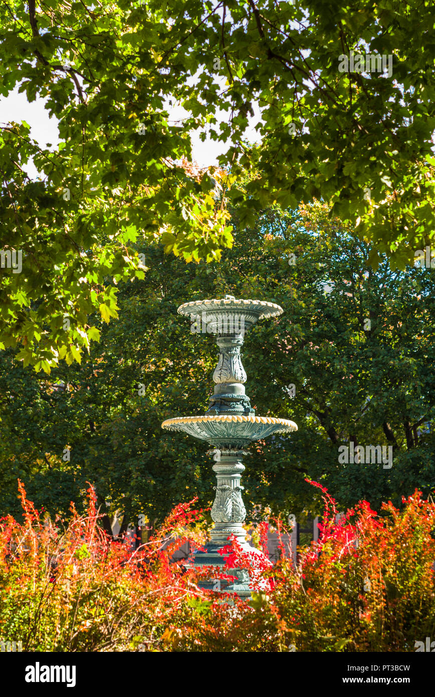 Canada, Québec, Montréal, Carre St-Louis square, petite fontaine, automne Banque D'Images