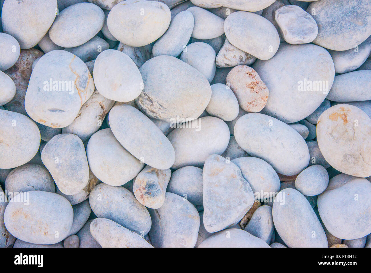 Les roches blanches sur une plage Banque D'Images