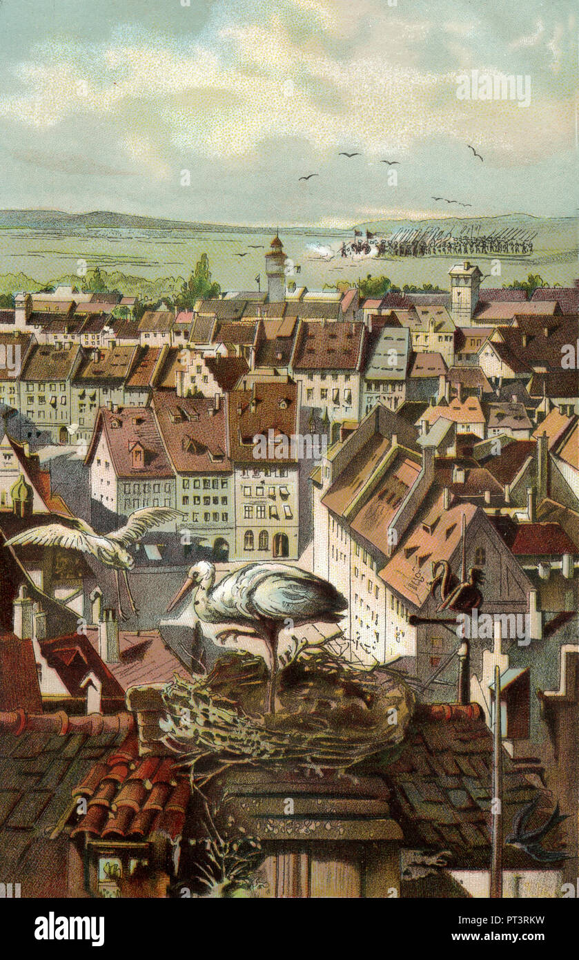 Nid de cigogne avec des cigognes sur un toit au-dessus de la ville (le baptême d'Oggersheim festival I), 1889 Banque D'Images
