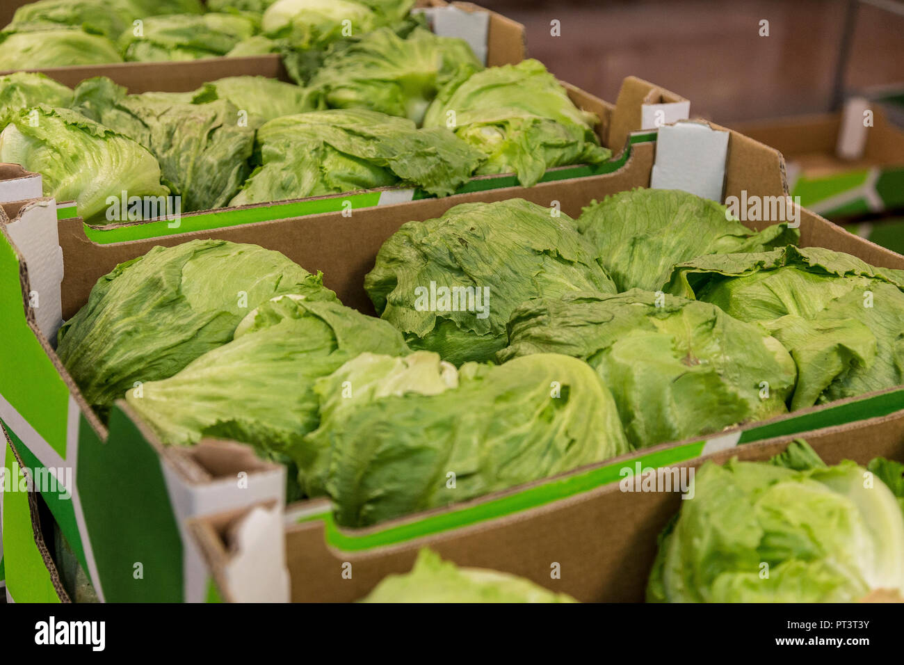 La production alimentaire dans le Royaume-uni - Fruits, légumes, salades préparées, vie saine Banque D'Images