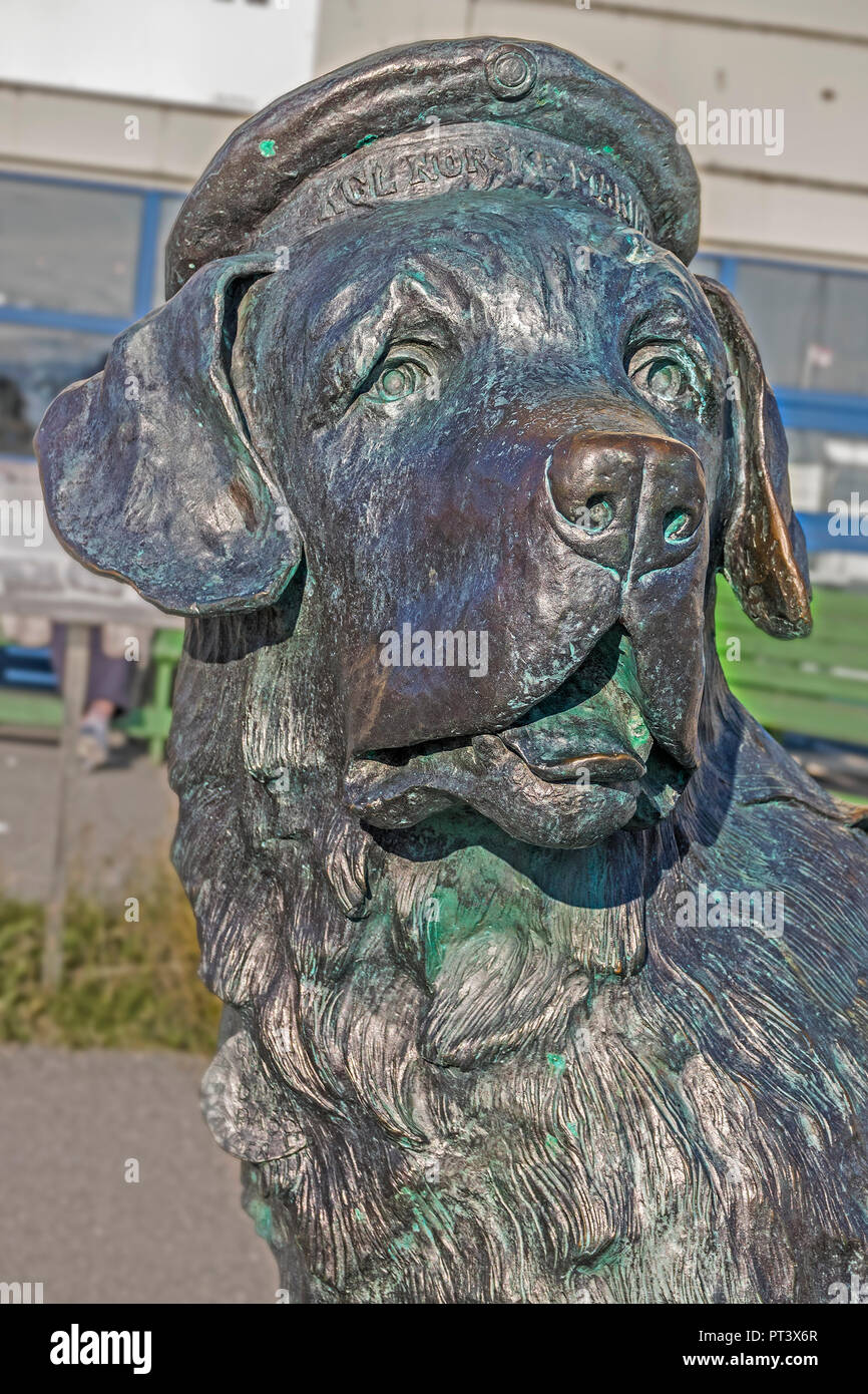 Statue de Dog Bamse, Honningsvag, Norvège Banque D'Images