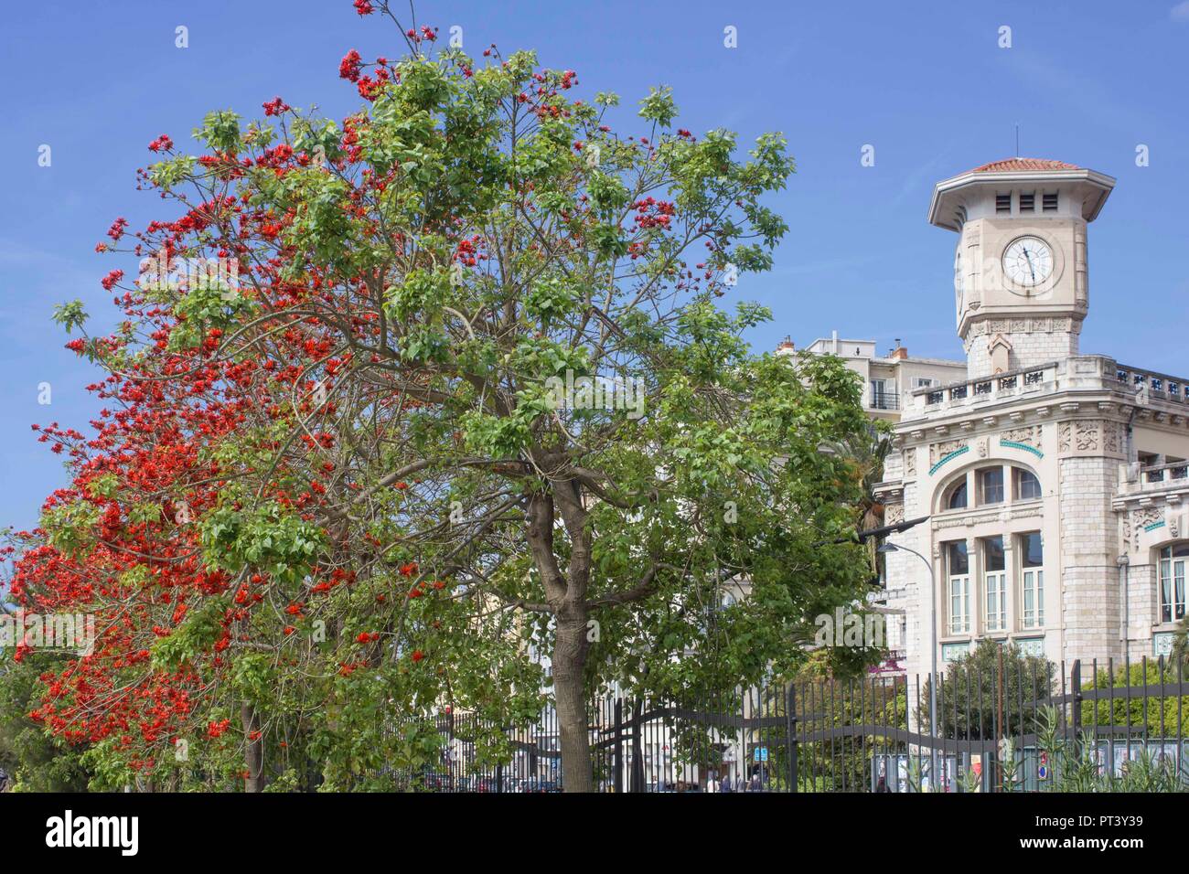 NICE, FRANCE - 23 avril 2017 : Le Lycée Masséna de Nice, France, avec un arbre coloré à l'avant-plan Banque D'Images