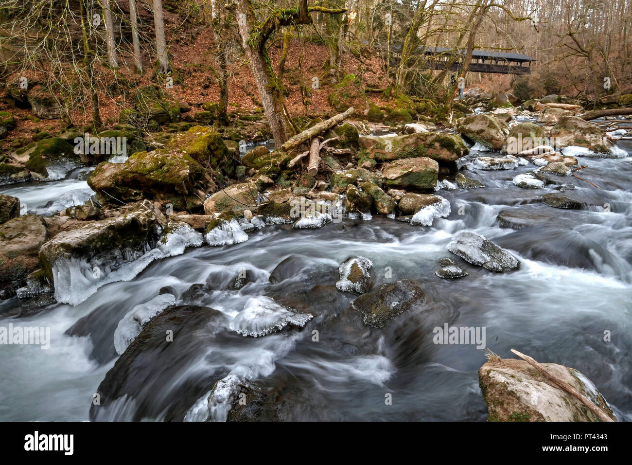 La rivière à Prüm Irreler cascades près de Echternacherbrück, Sudeifel, Rhénanie-Palatinat, Allemagne Banque D'Images