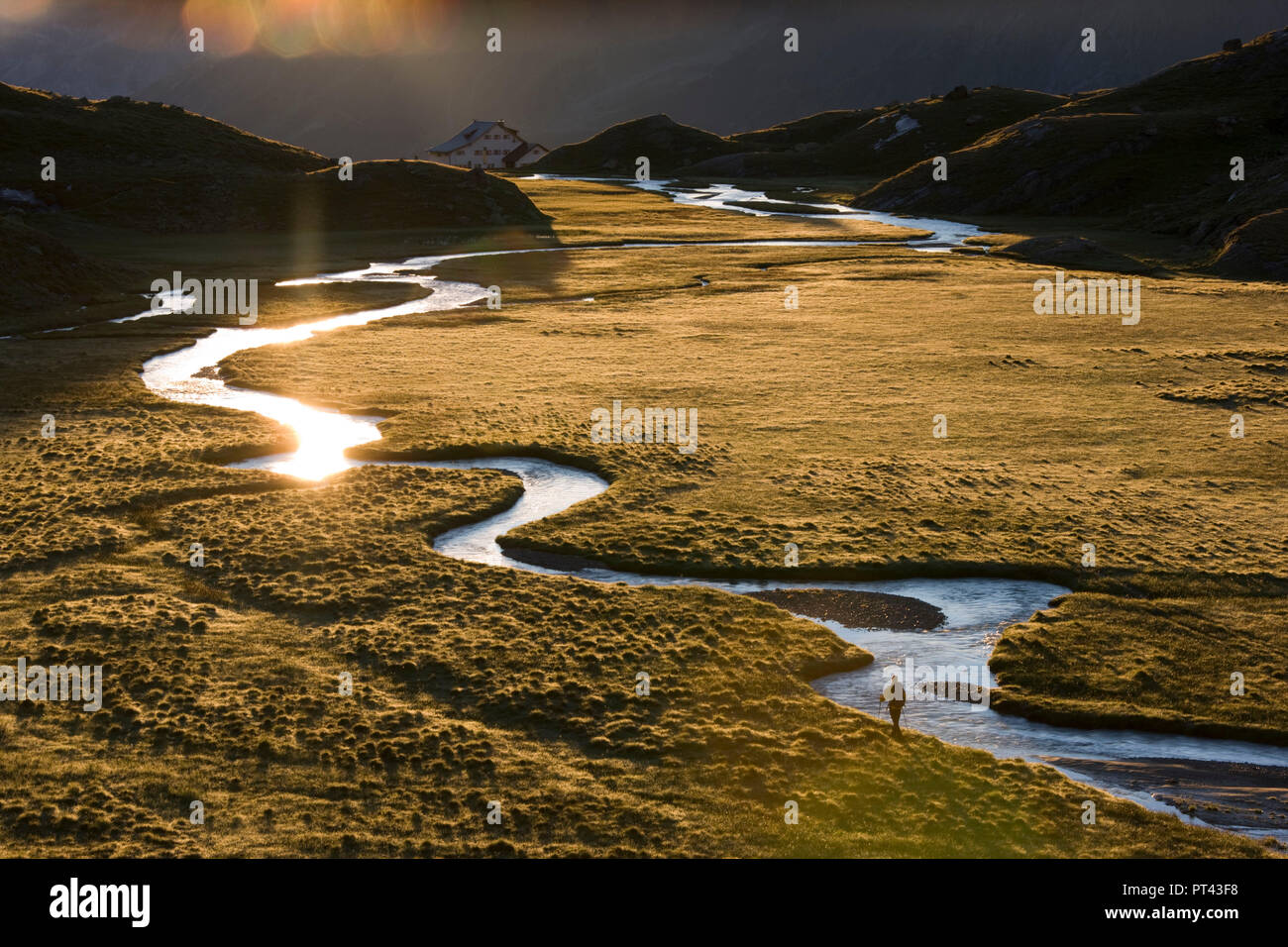 Haute lande Hohes Moos dans la zone de la lumière du matin avec Neuer Regensburger hut, Alpes de Stubai, Tyrol, Autriche. Banque D'Images