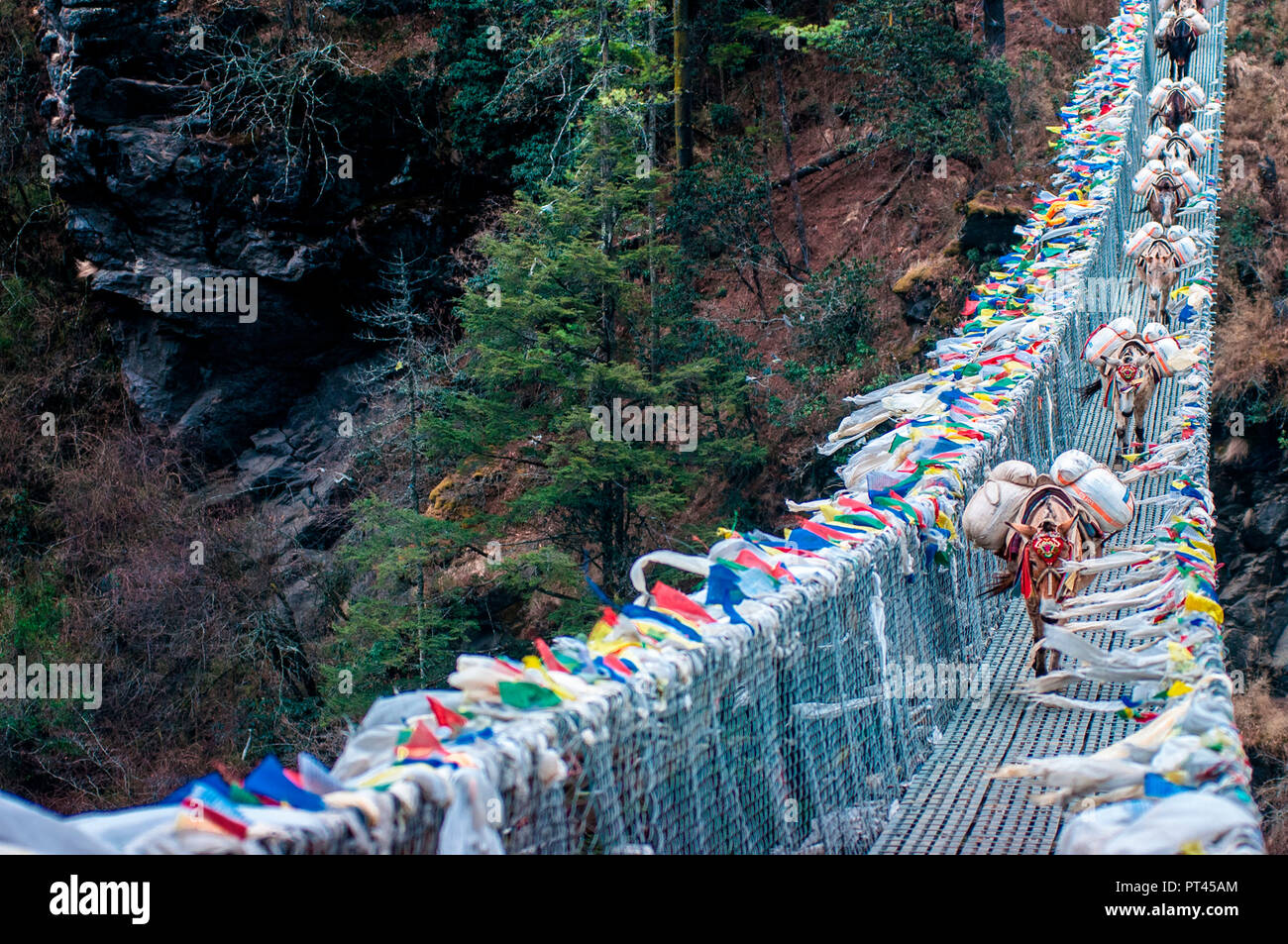 L'Asie, Népal, Himalaya, Khumbu, parc national de Sagarmatha, Camp de base de l'Everest Trekking Banque D'Images