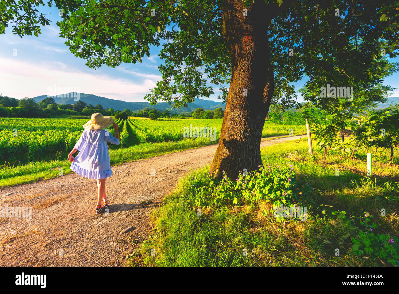 Femme dans les rangées, Franciacorta, Lombardie, Province de Brescia, Italie, Banque D'Images