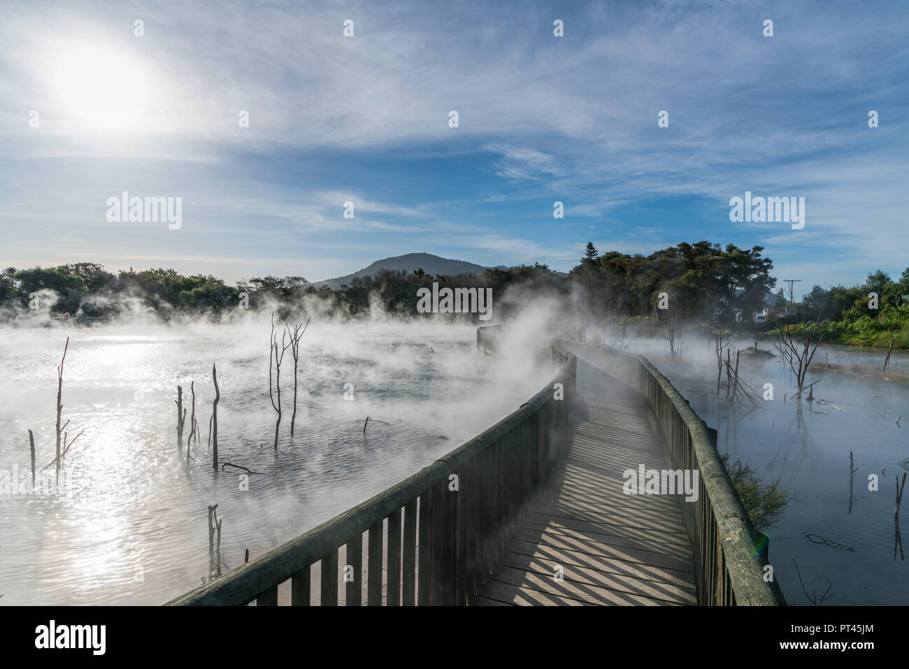 Au cours d'une promenade extérieure, sulfureuse chaude Kuirau Park, Rotorua, Bay of Plenty, région de l'Île du Nord, Nouvelle-Zélande, Banque D'Images