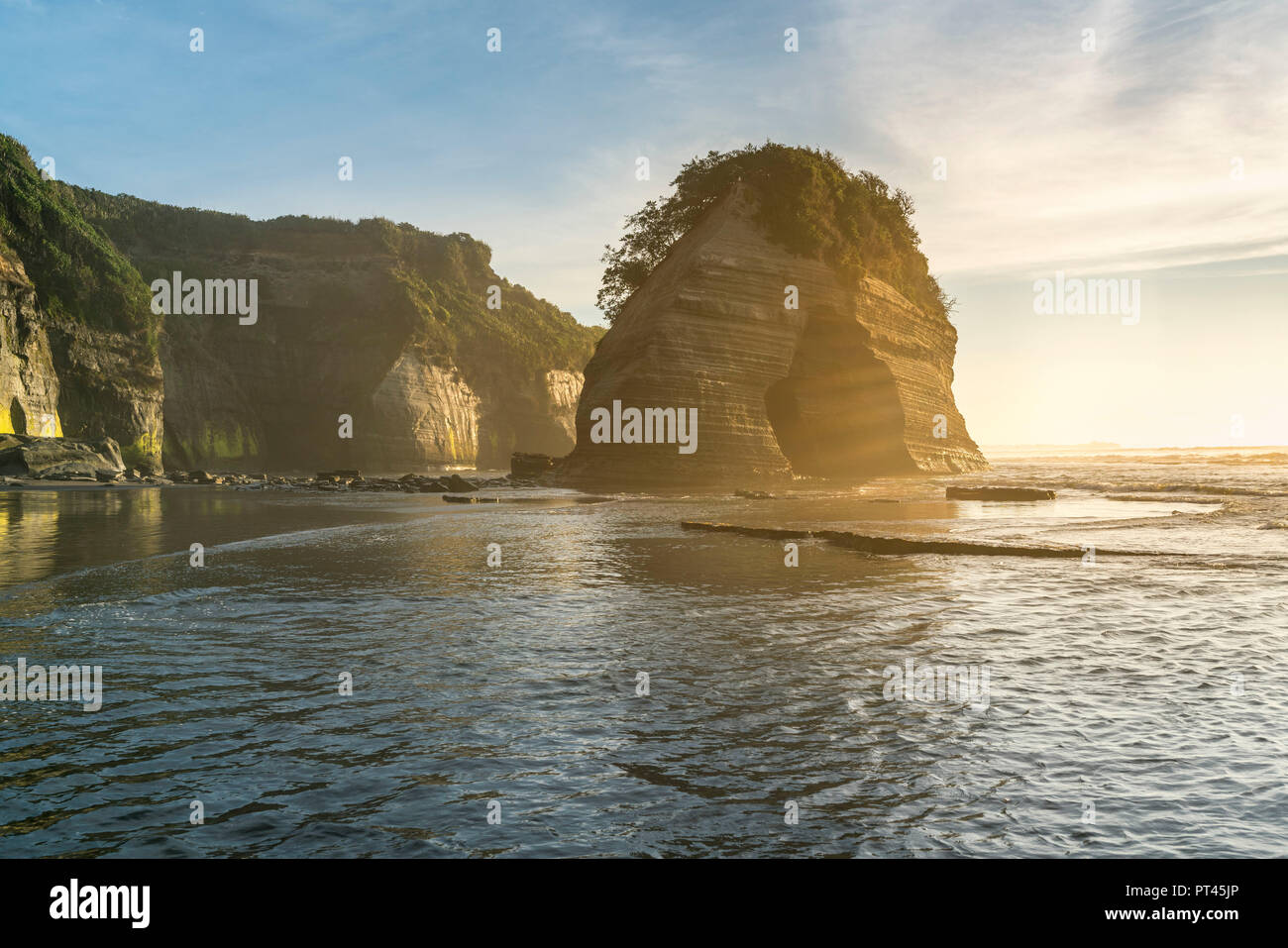 Roche de l'éléphant dans la lumière du matin, Tongaporutu, district de New Plymouth, Taranaki, région de l'Île du Nord, Nouvelle-Zélande, Banque D'Images