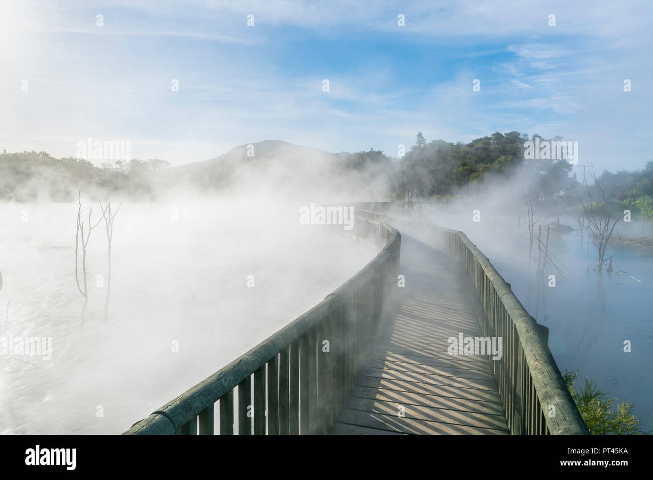 Au cours d'une promenade extérieure, sulfureuse chaude Kuirau Park, Rotorua, Bay of Plenty, région de l'Île du Nord, Nouvelle-Zélande, Banque D'Images