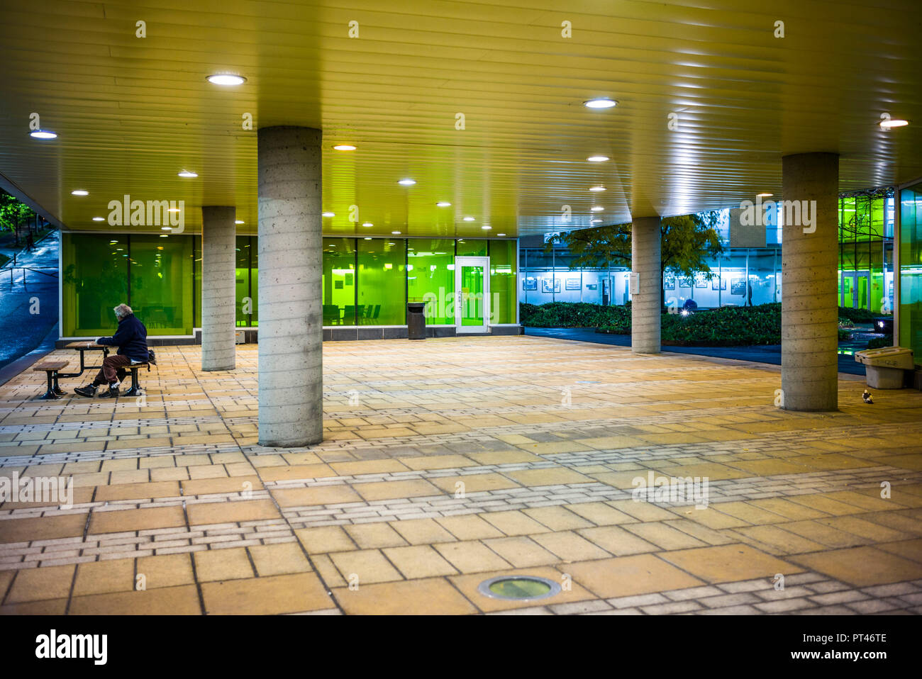 Canada, Québec, Montréal, UQAM, Université du Québec à Montréal, jardin, jardin Rejean-Fortin Banque D'Images