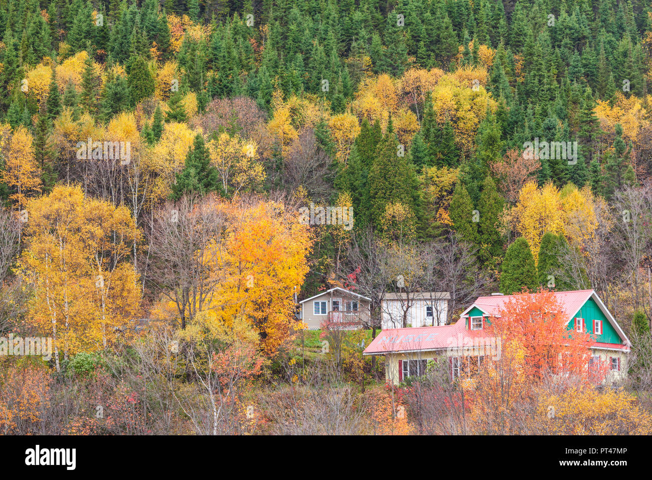 Canada, Québec, région du Saguenay-Lac Saint-Jean, Fjord du Saguenay, Ste-Rose-du-Nord, augmentation de la vue sur le village, l'automne Banque D'Images