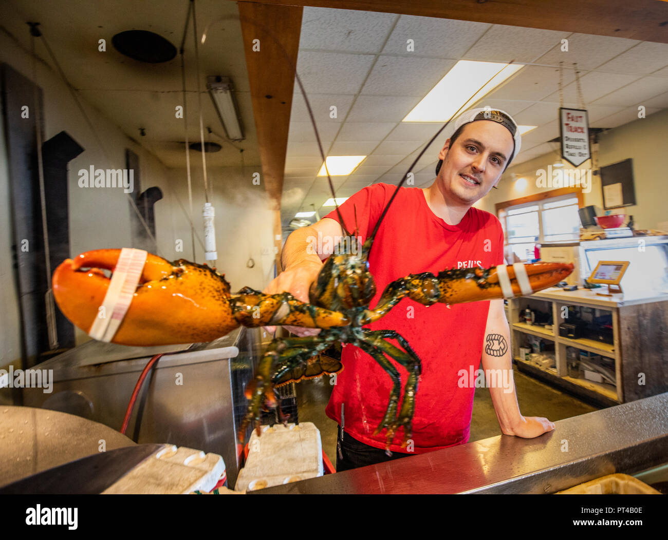 Beal's Lobster Restaurant Pier, Southwest Harbor, Maine, USA Banque D'Images
