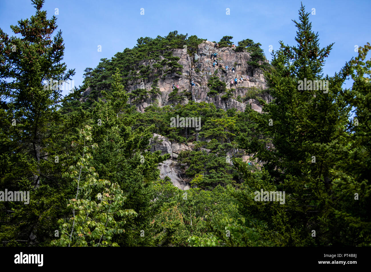 Falaises de ruche, le Beehive Trail randonnée en montagne, l'Acadia National Park, Maine, USA Banque D'Images