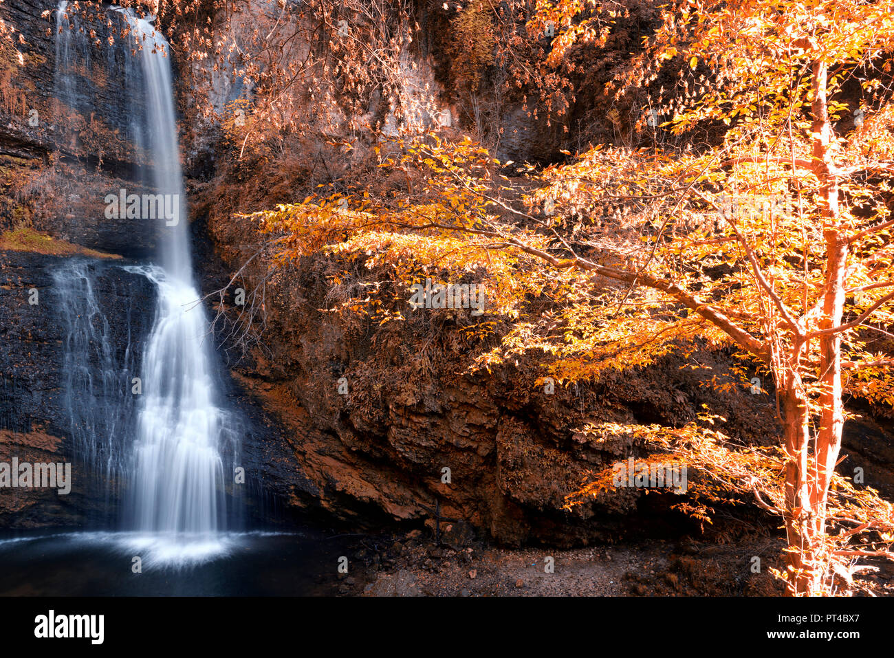 Belle cascade dans les bois en automne saison avec sunny phares sur les arbres Banque D'Images