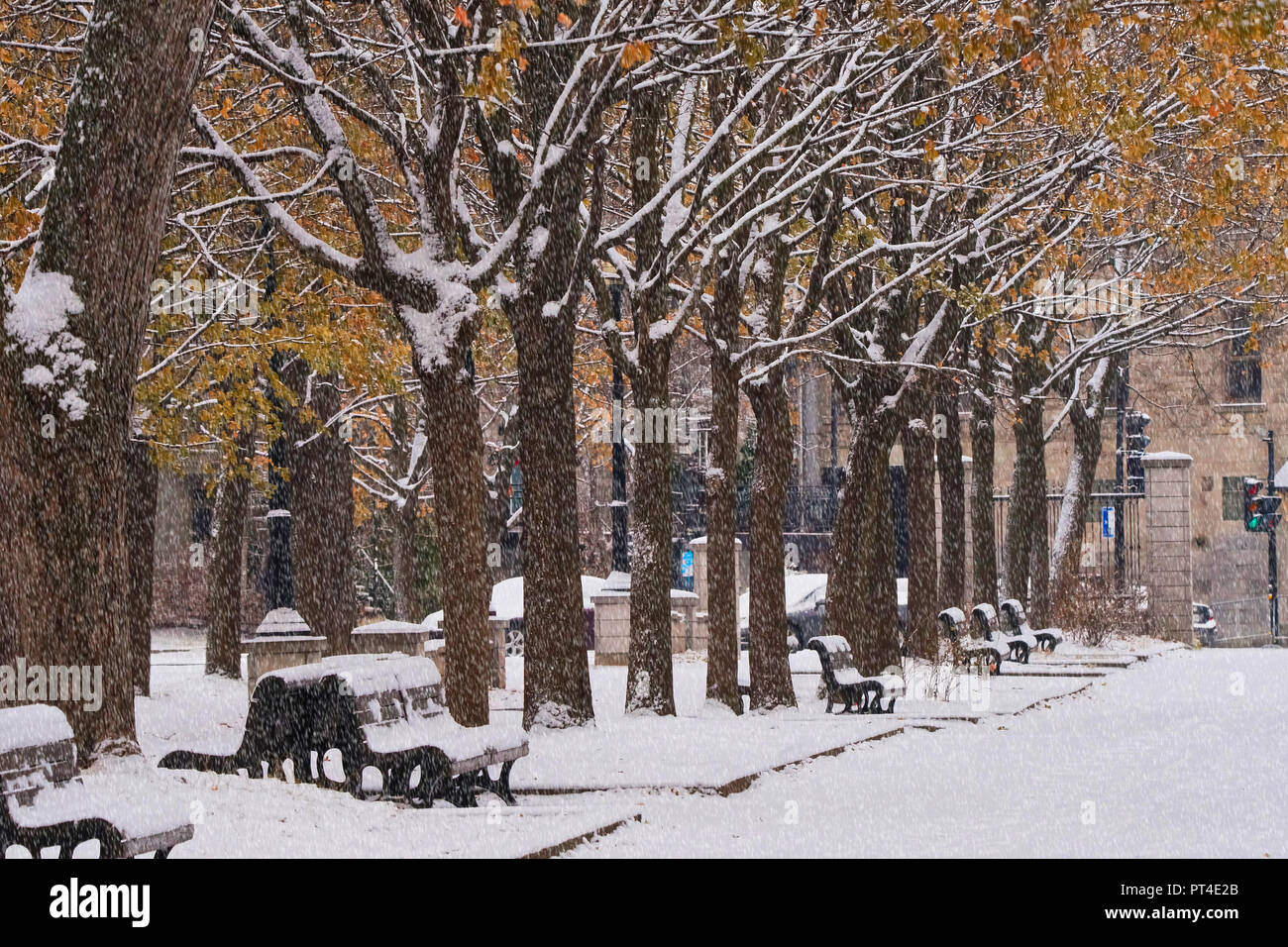 Montréal, Canada, 10 décembre 2017.scène pittoresque d'un parc public après la première chute de neige.Credit:Mario Beauregard/Alamy Live News Banque D'Images