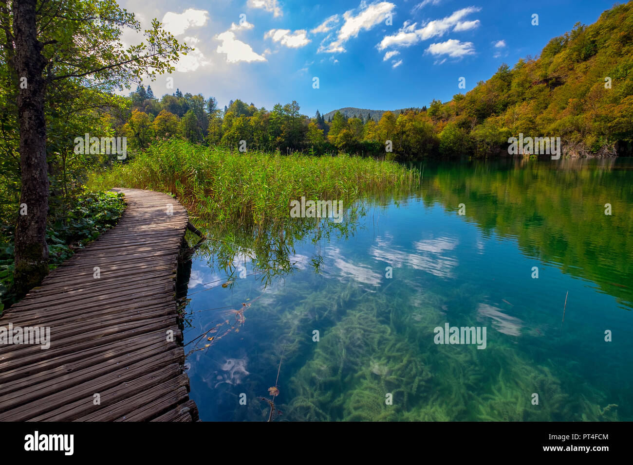 Lacs de Plitvice Parc National. Saison Automne site de l'UNESCO. De l'automne. La Croatie. Banque D'Images