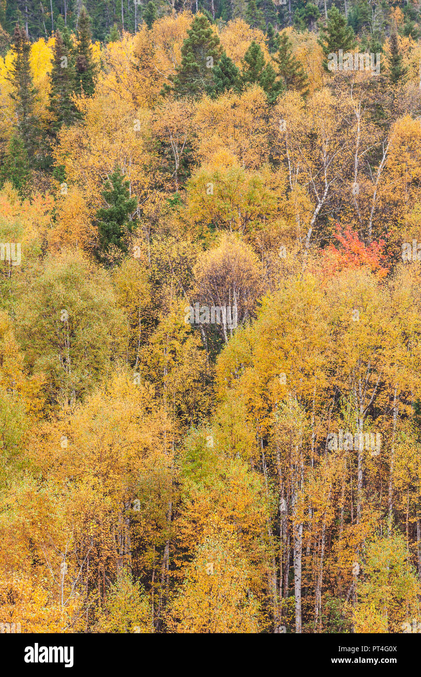 Canada, Québec, région du Saguenay-Lac Saint-Jean, Fjord du Saguenay, l'Anse-Saint-Jean, automne Banque D'Images