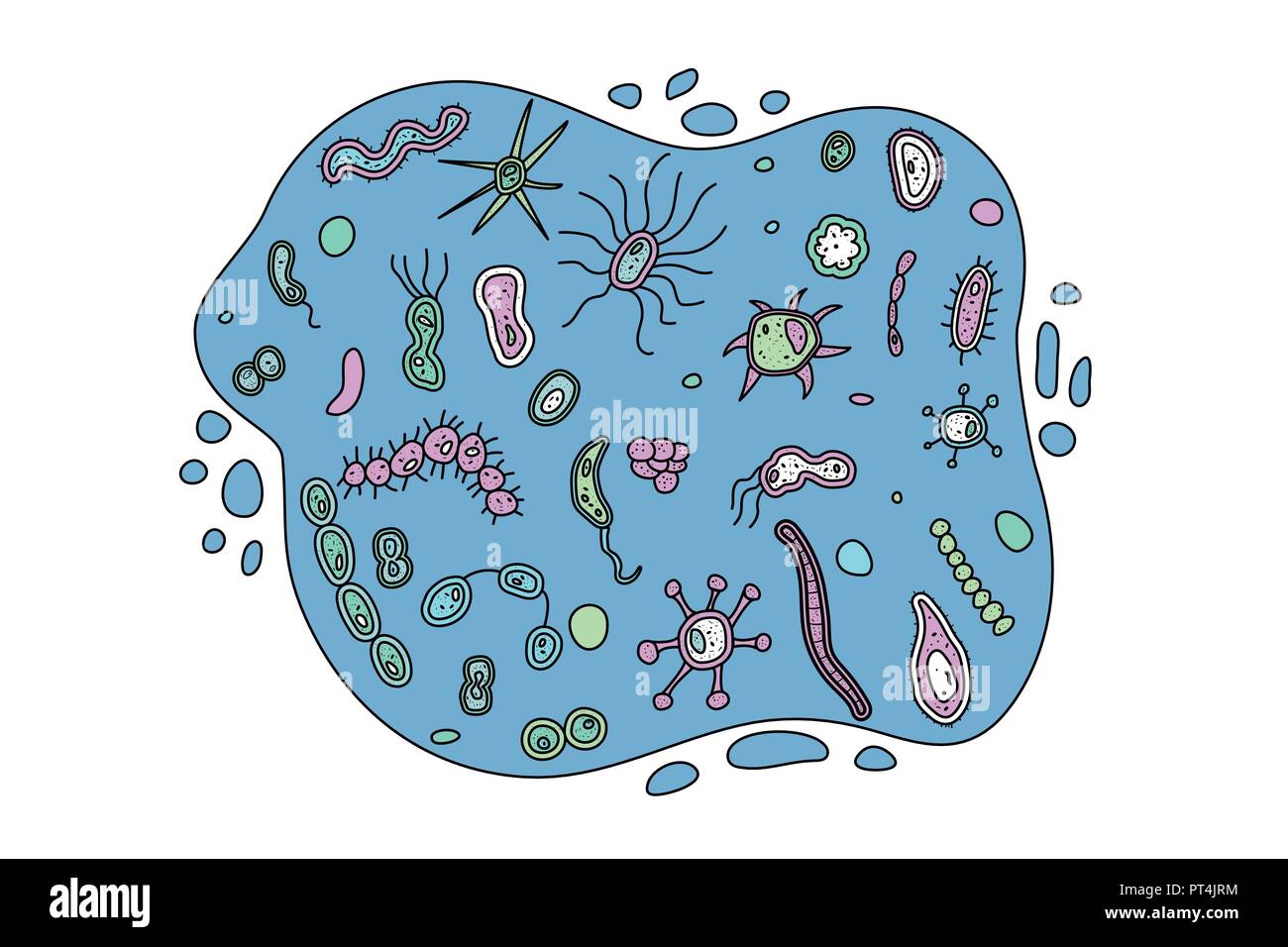 Composition liquide des cellules de bactéries. Ensemble de micro-organismes. Doodle vecteur illustration de style. Illustration de Vecteur