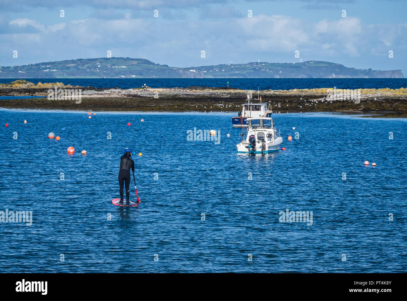 Paddleboarder dans Groomsport Harbour en Irlande du Nord Banque D'Images