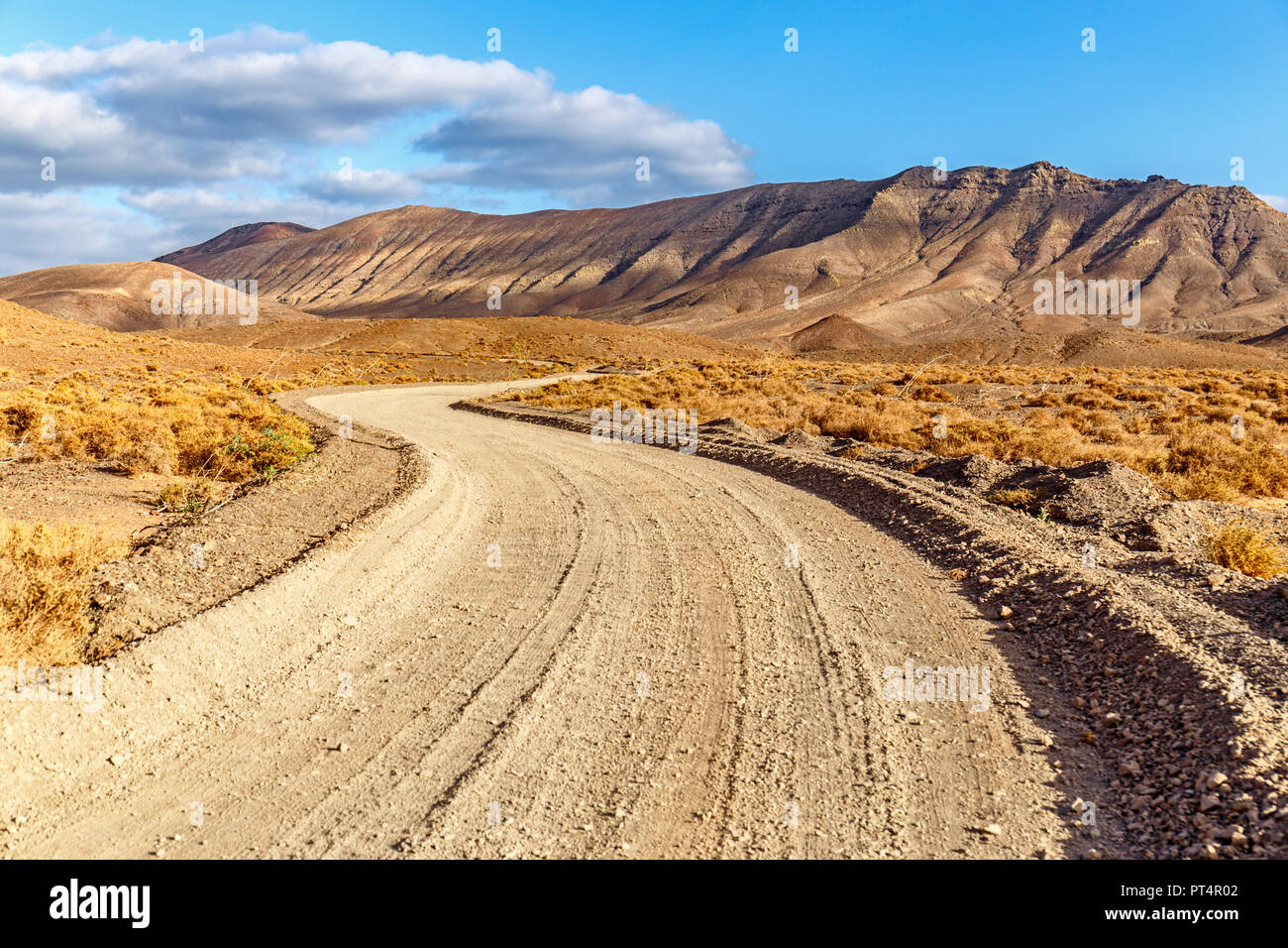 Winding Road, en face sale rural paysage volcanique de Fuerteventura à l'heure d'Or Banque D'Images