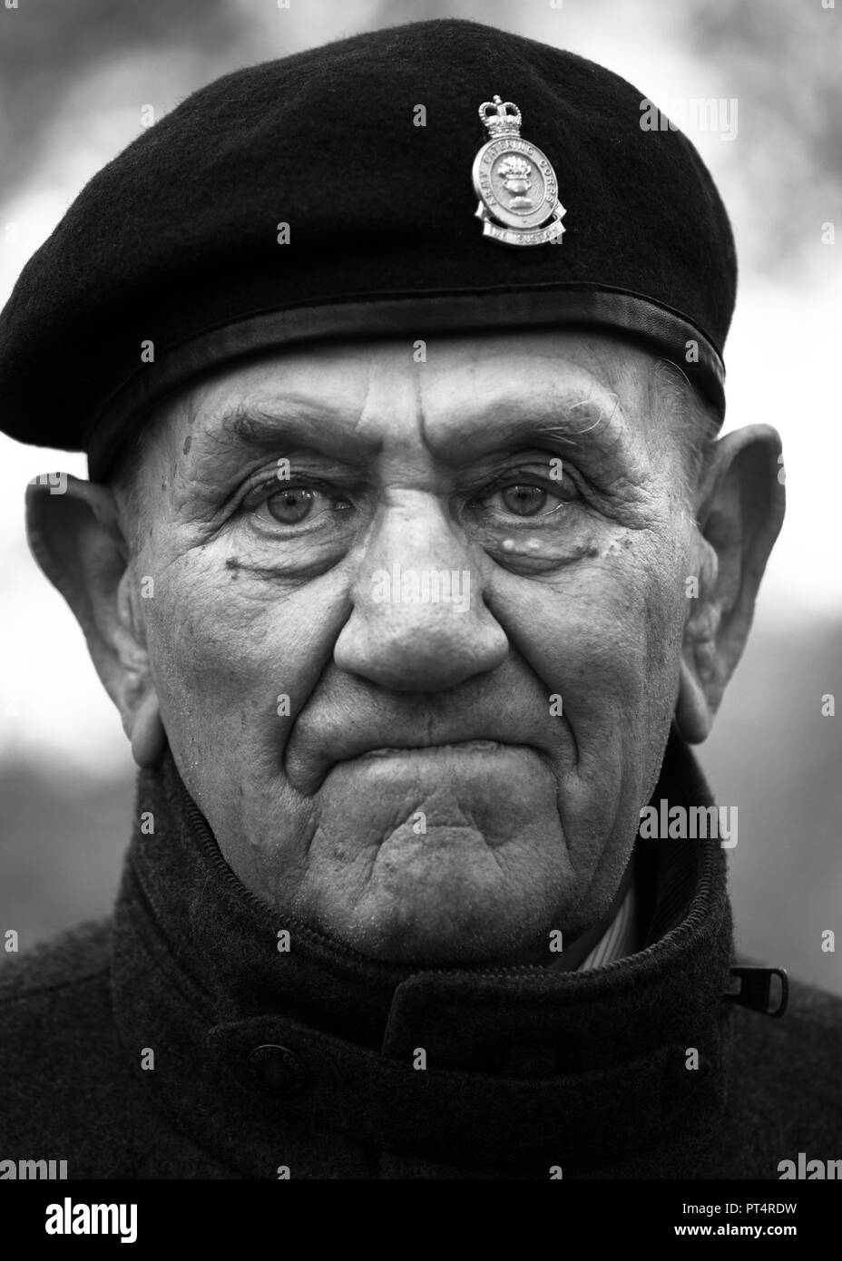 Vétéran de guerre portant son béret à la parade du Jour du Souvenir, à Londres. Banque D'Images