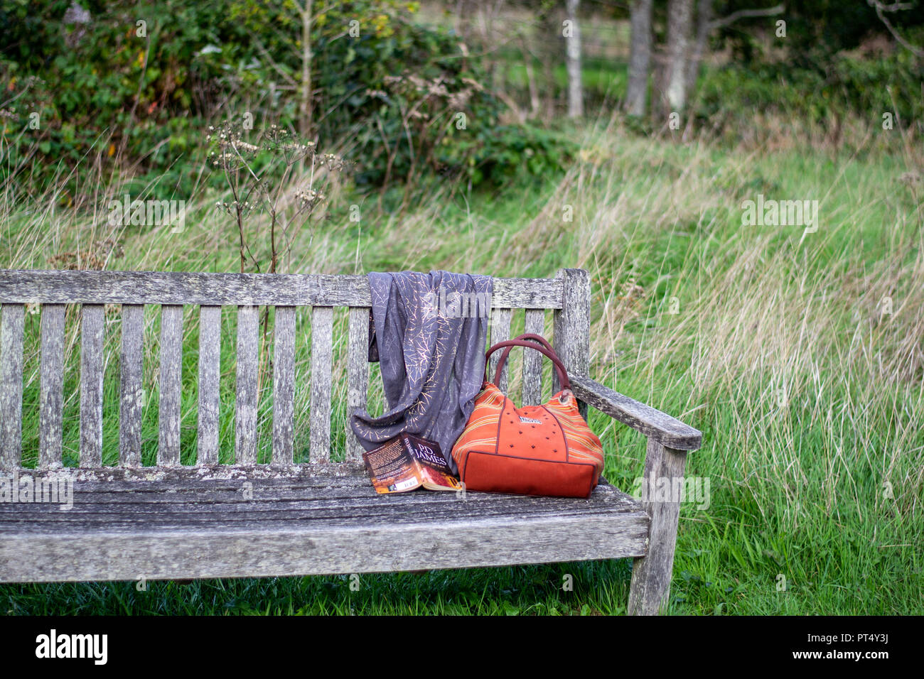 Foulard sac et livre laissé sur un banc sur un après-midi ensoleillé. Banque D'Images