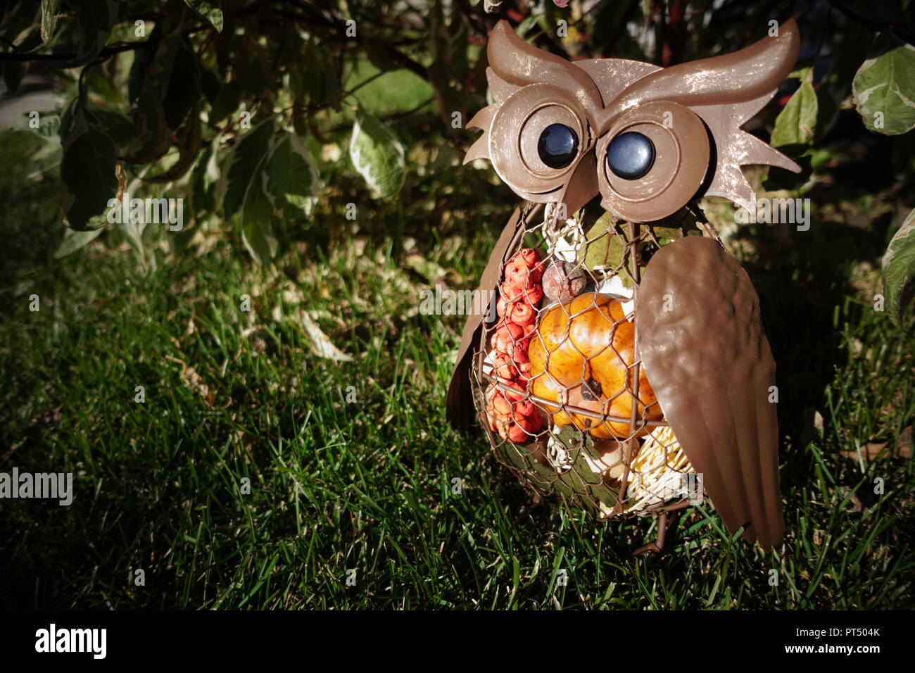 Un brun métal construit des terriers contenant des articles d'automne. Banque D'Images