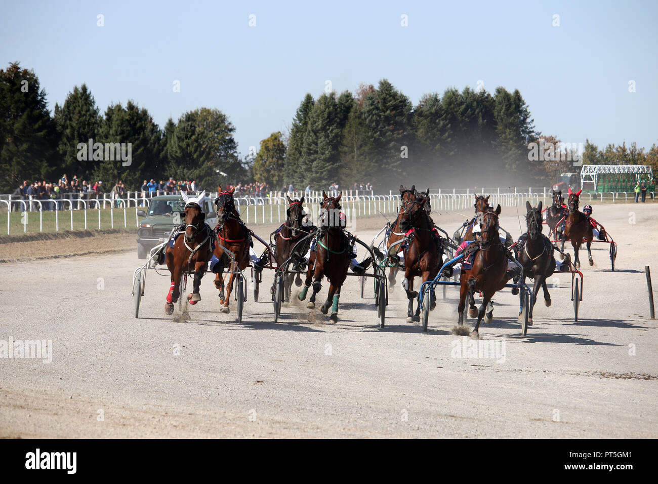 Les courses de chevaux de race trotteur du faisceau en mouvement Banque D'Images