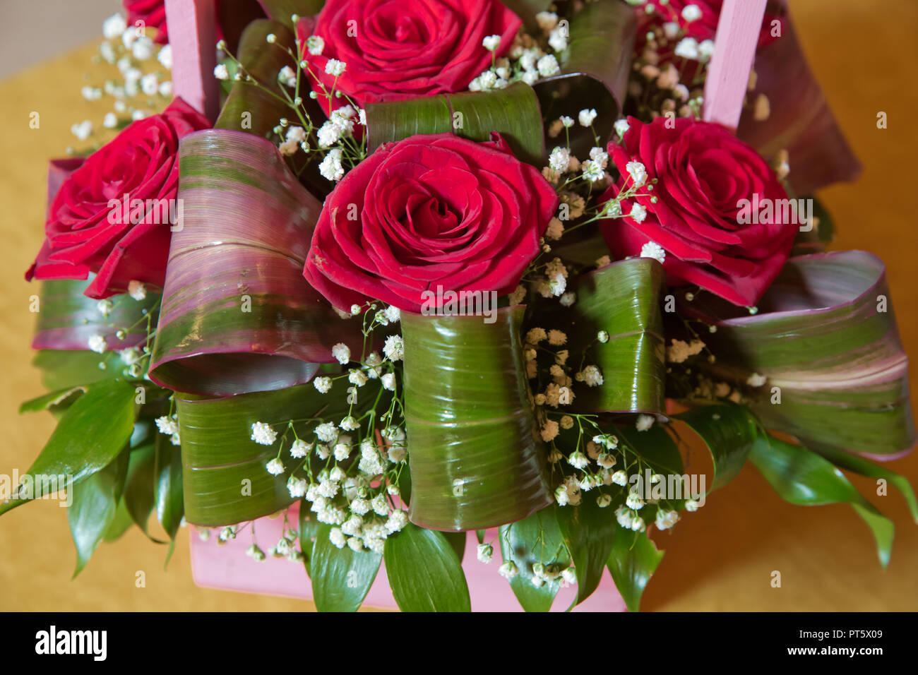 Magnifique bouquet de roses rouges close-up . Beau bouquet de fleurs roses close-up . Bouquet de roses rouge isolé sur fond jaune. Roses rouges, un énorme bouquet de fleurs . bouquet de roses dans panier Banque D'Images