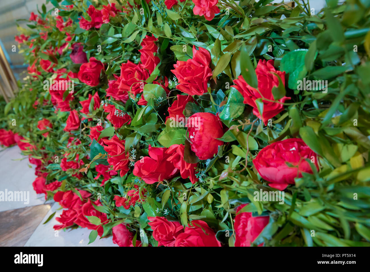 Fond rose rouge . Roses rouges - fond texture naturelle de l'amour . Roses rouges sur fond ardoise, . roses rouges decorations . Rose rouge comme un arrière-plan naturel et jours fériés Banque D'Images
