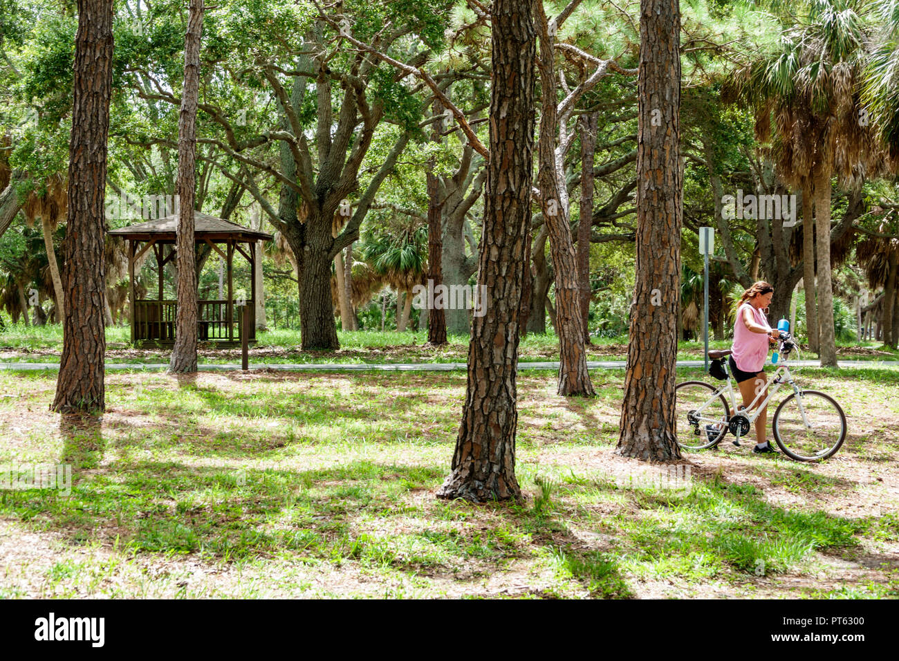 Saint-Pétersbourg Floride, Bay Water Pines, War Veterans Memorial Park, adultes femme femme femme femme dame, vélo vélos vélo vélo vélo équitation Banque D'Images