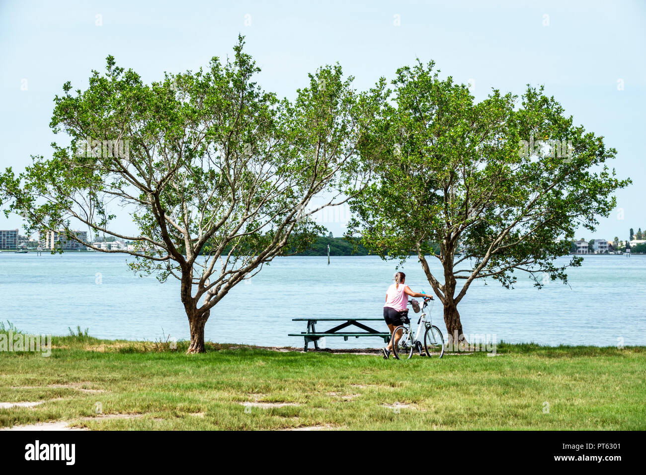 Saint-Pétersbourg Floride, Bay Pines, War Veterans Memorial Park, Boca Ciega Bay, table de pique-nique, femme femme femmes, vélo vélo vélo vélo équitation bik Banque D'Images