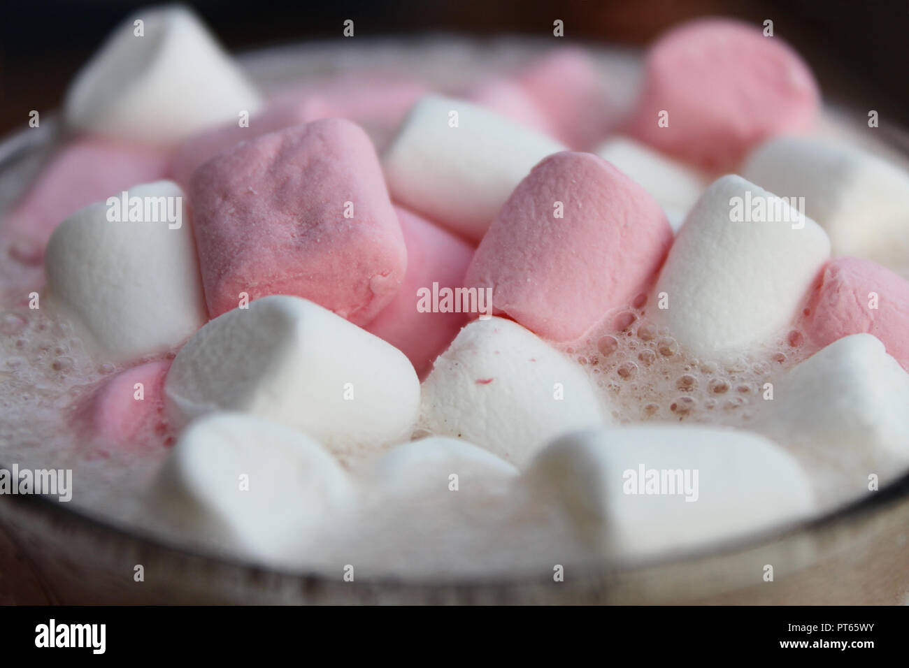 Un chocolat chaud recouvert de verre rose et blanche de guimauves. Banque D'Images
